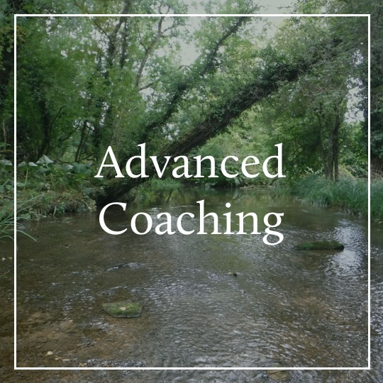 Advanced Coaching