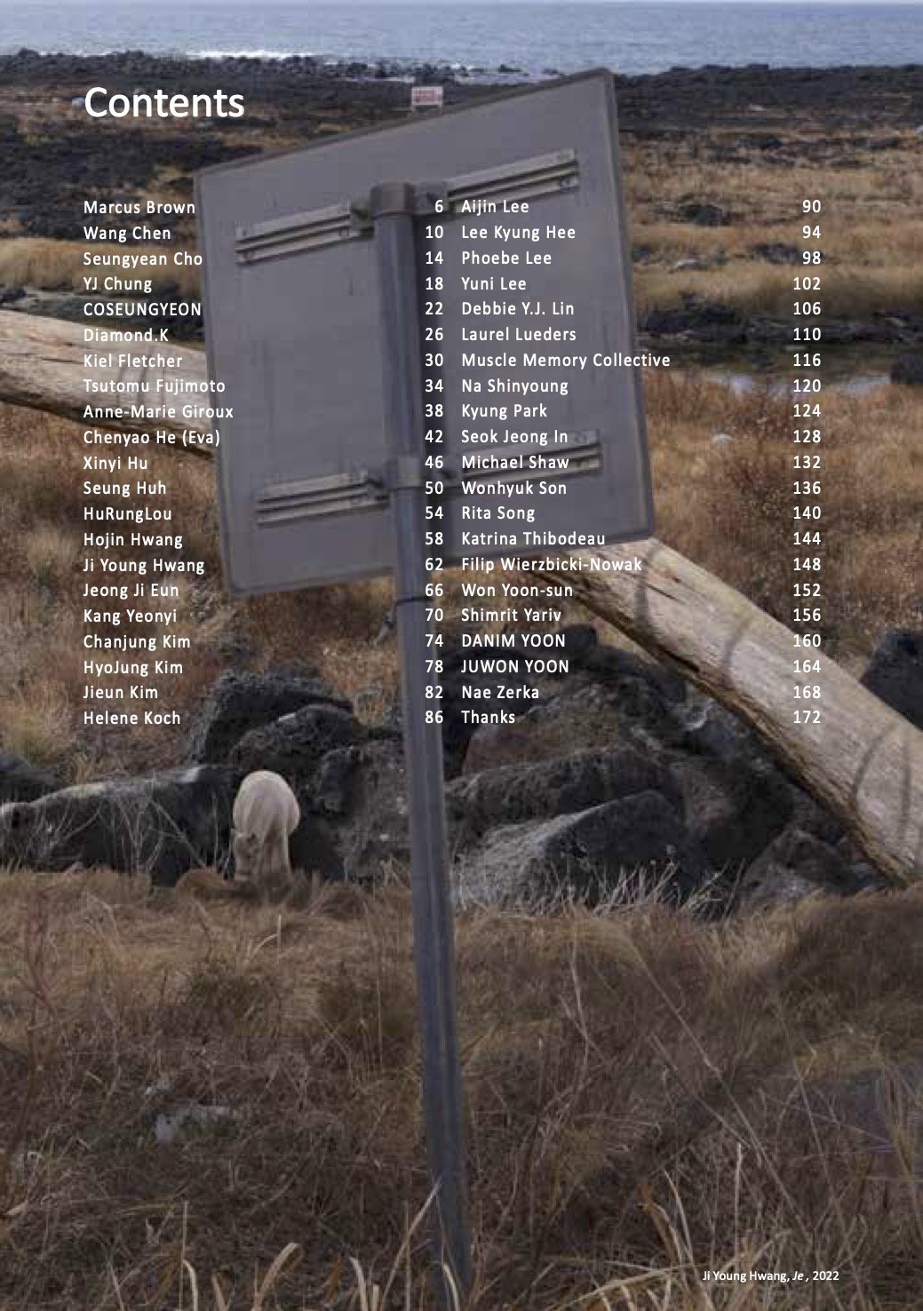 CICA ART NOW 2023.P6.jpeg.jpg