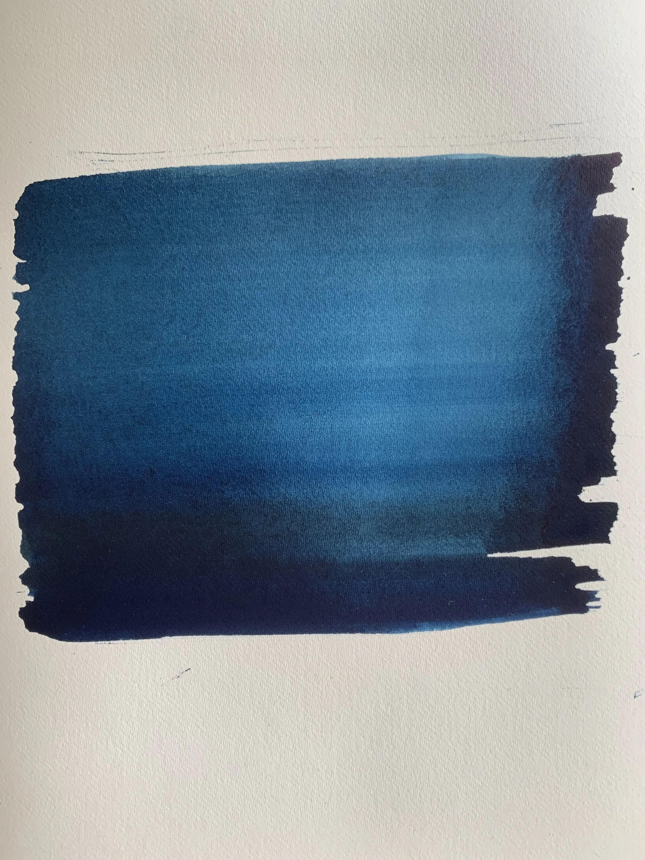 IMG_7237 (1) copy.jpg