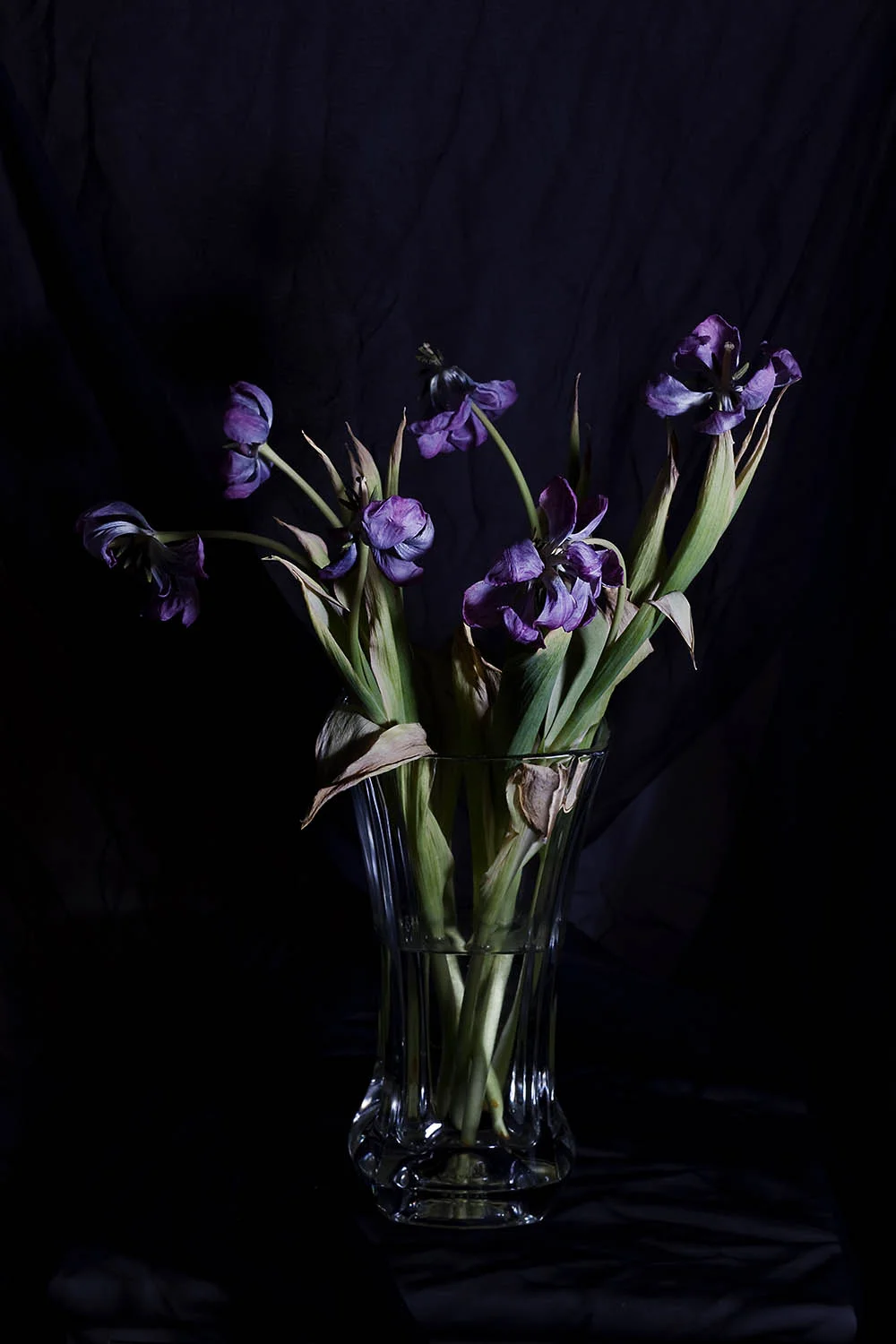 tulipaner.jpg