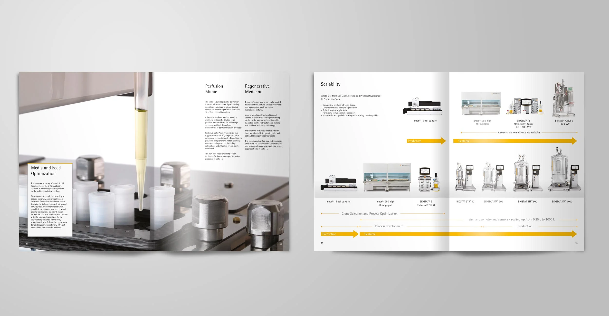 SAR_2spreads-flat_2.jpg
