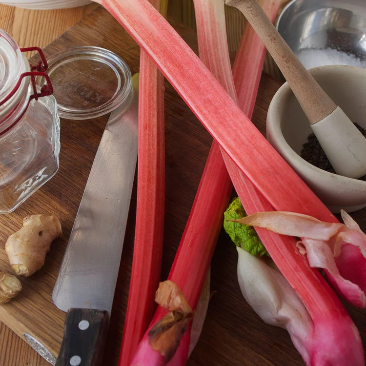 Lacto-fermented rhubarb with cardamom and ginger