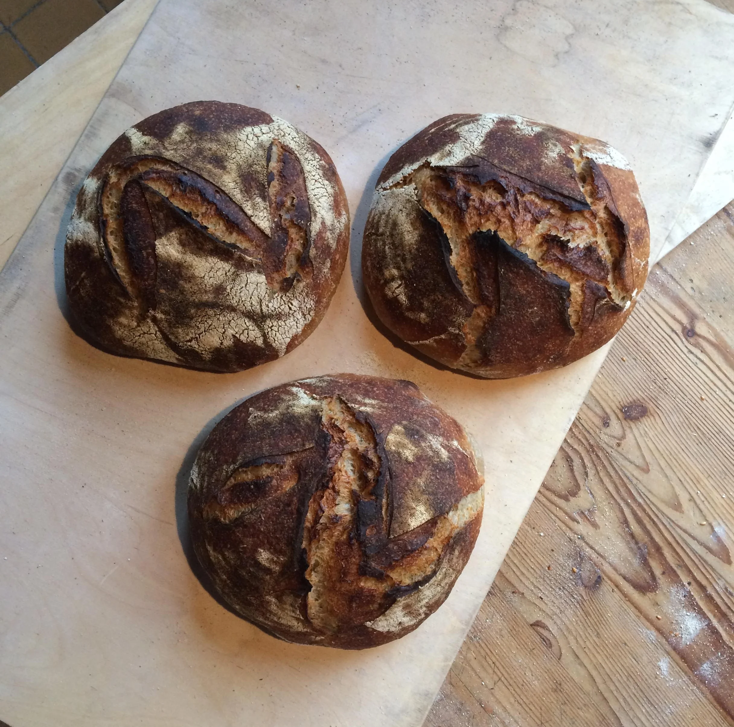 Fleur loaves.jpg