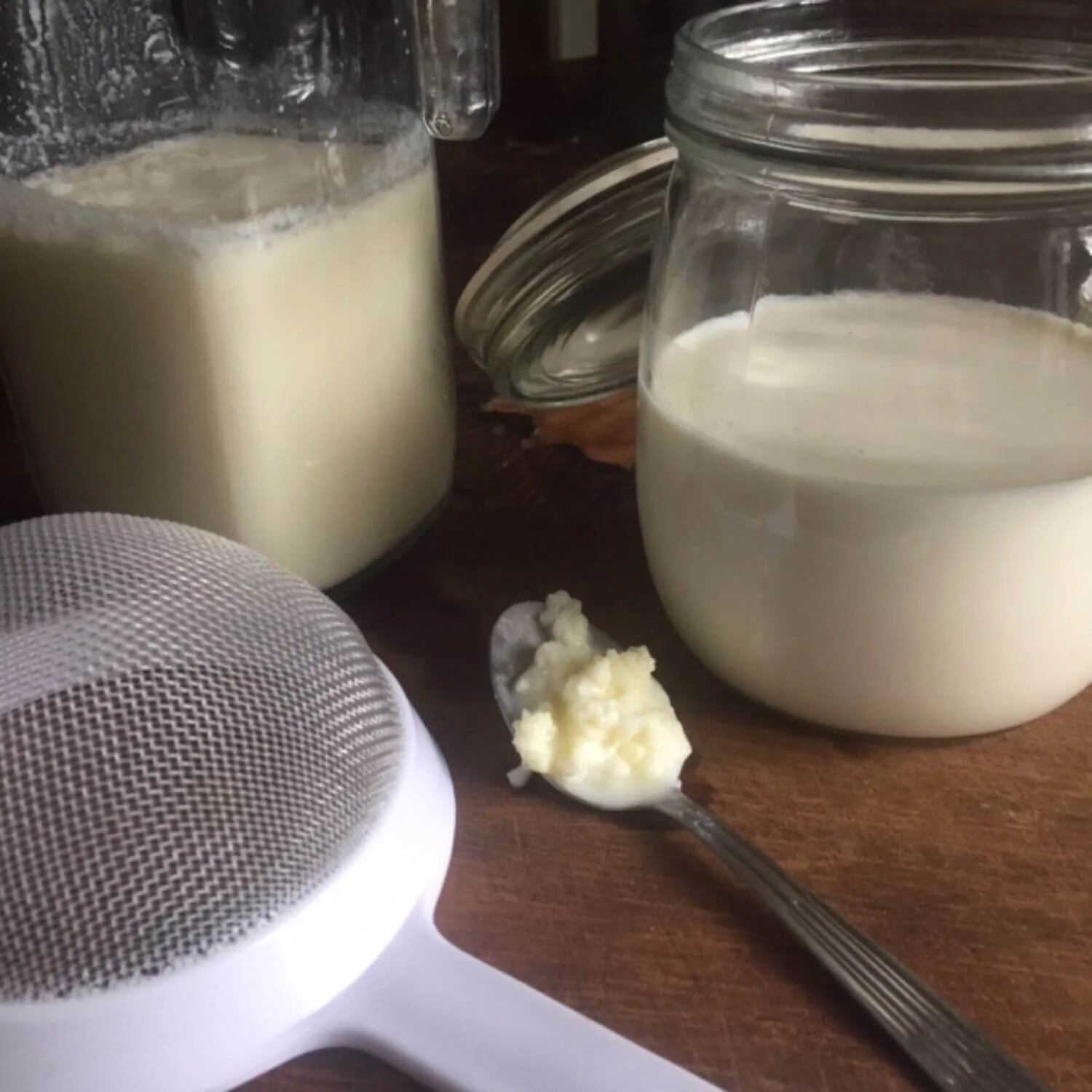 Make your own Milk Kefir Kit 