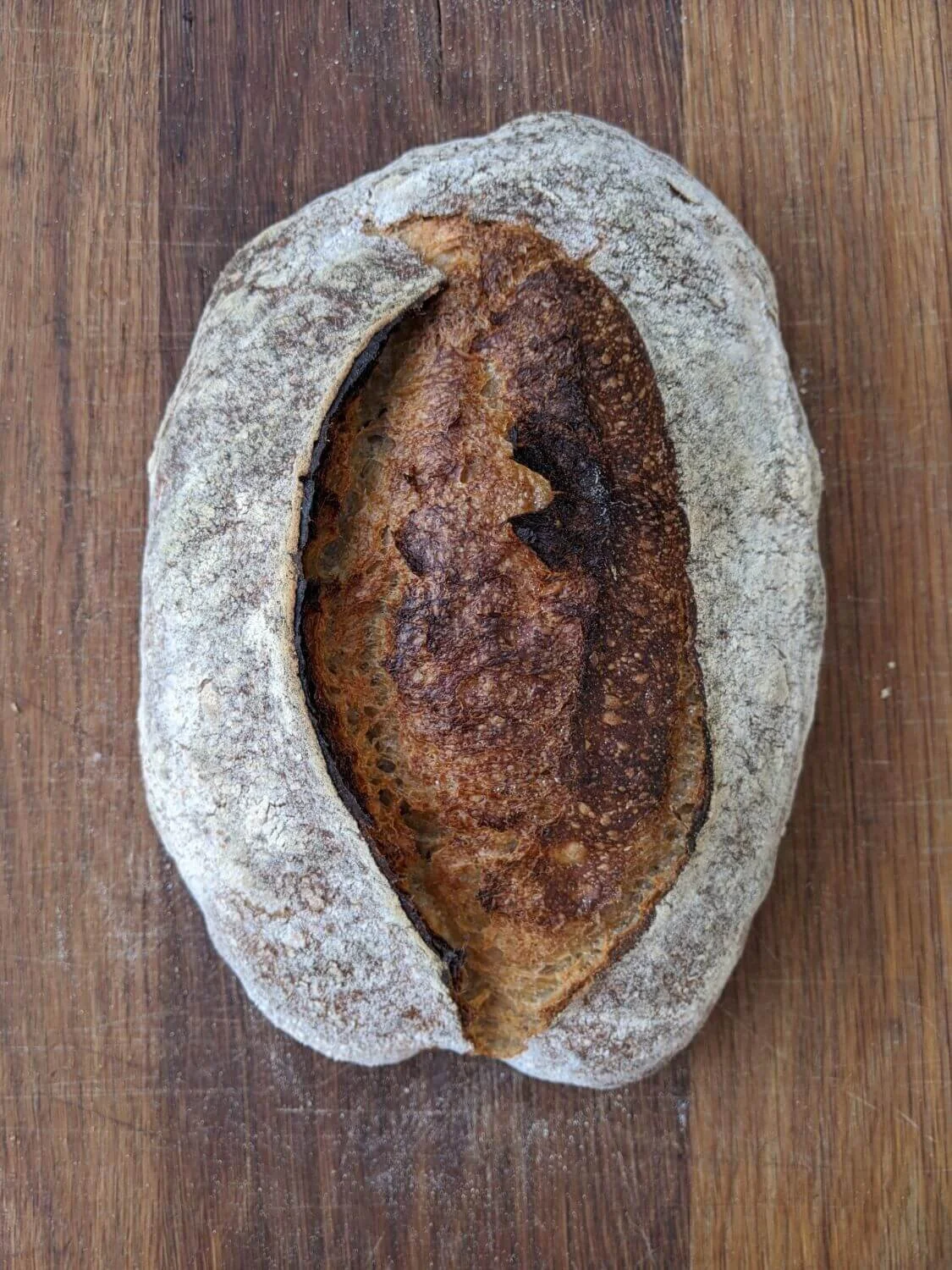 Whitish Loaf