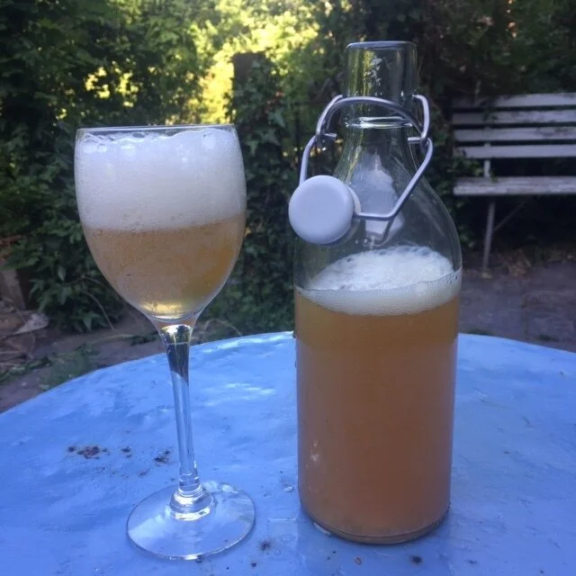 Rhubarb Cream Soda with Whey from your Milk Kefir