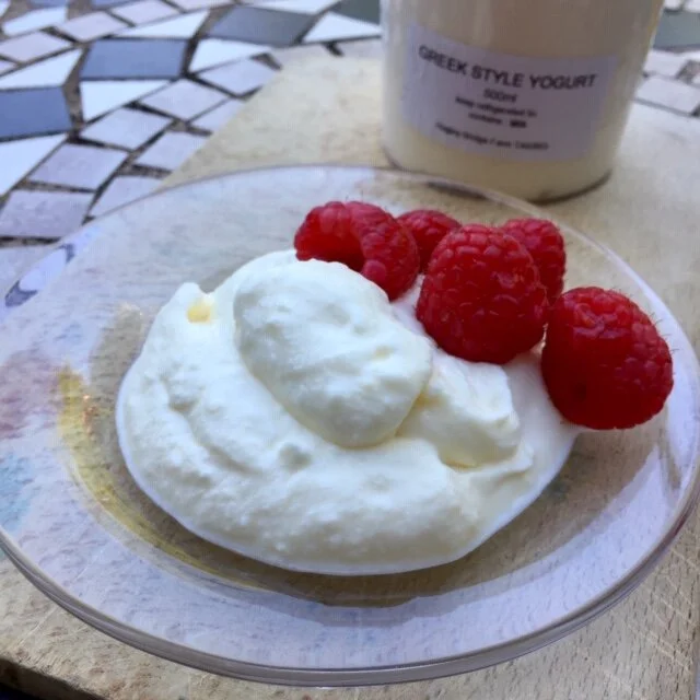 Greek yogurt.jpg