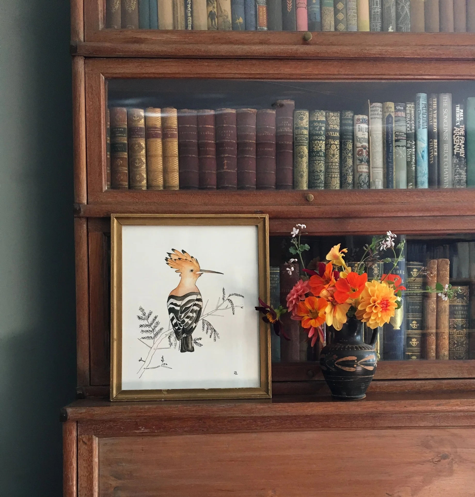 hoopoe.JPG