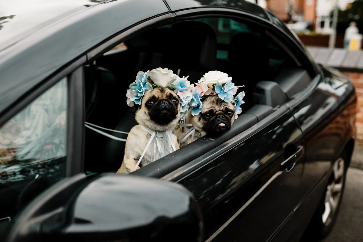 Amy Faith Photography
