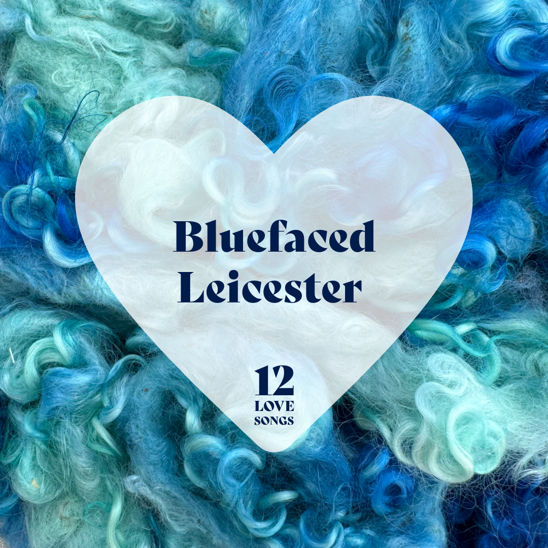 12 Love Songs | BFL | £80