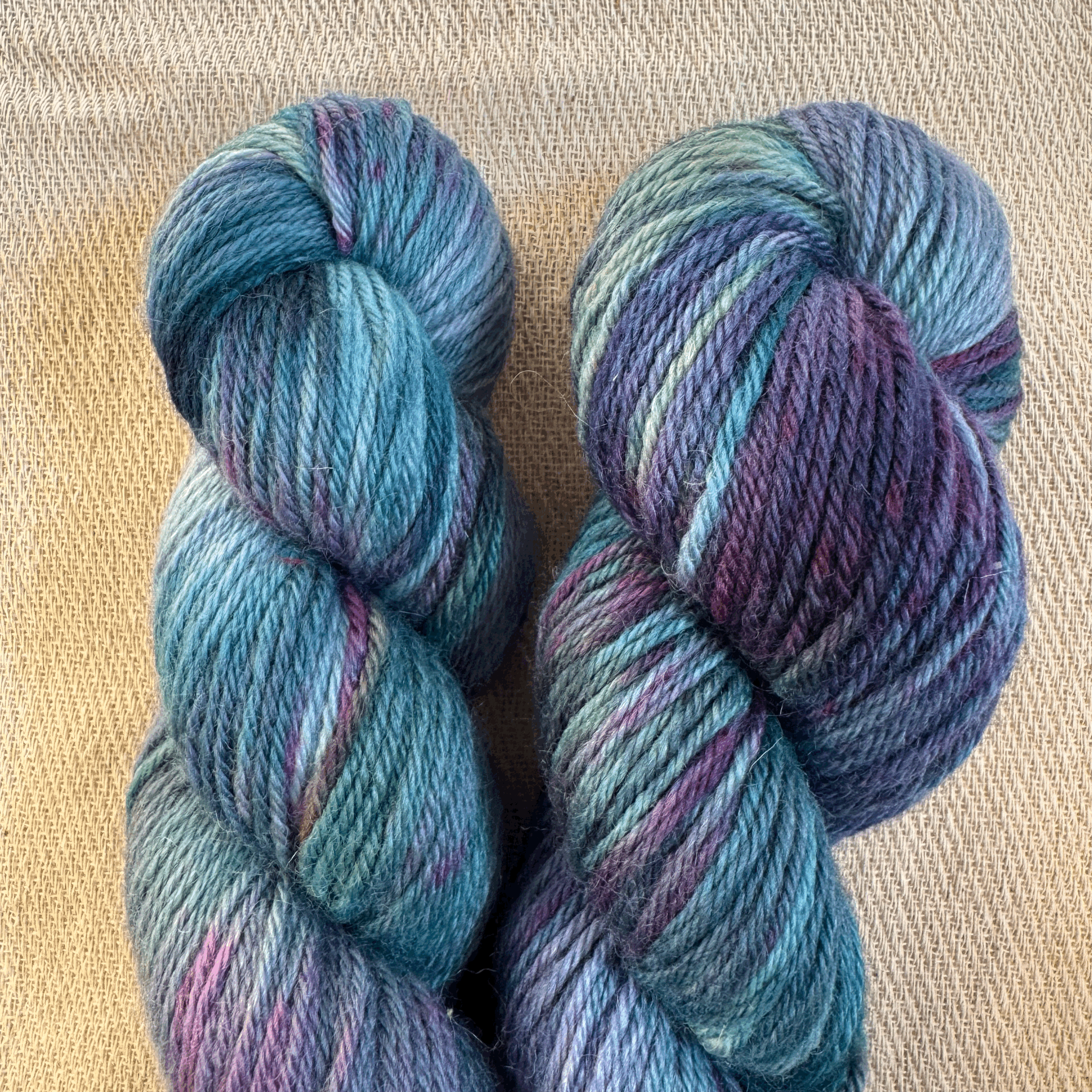 Tango in the Night | DK | 100% BFL