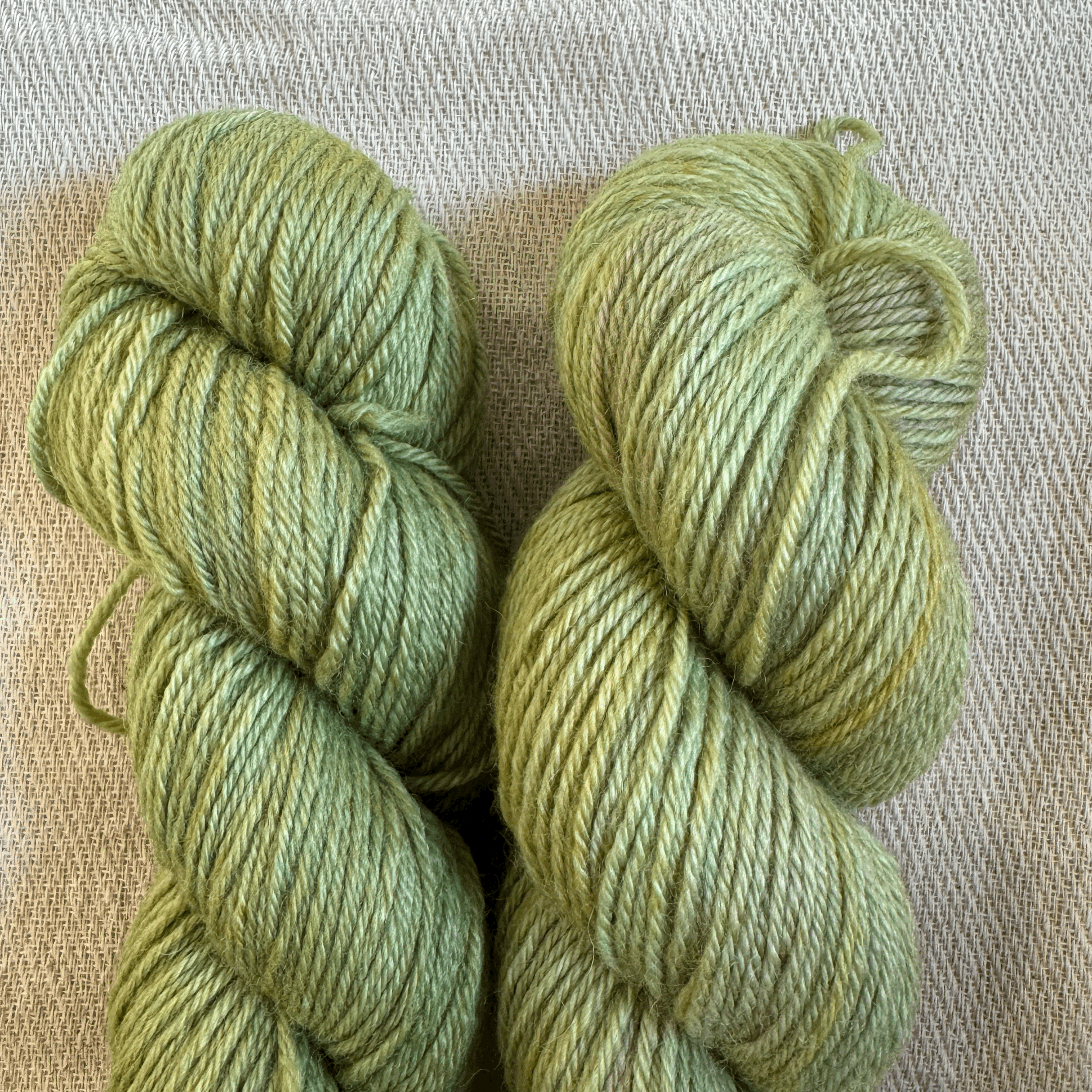 Bogwitch | DK | 100% BFL