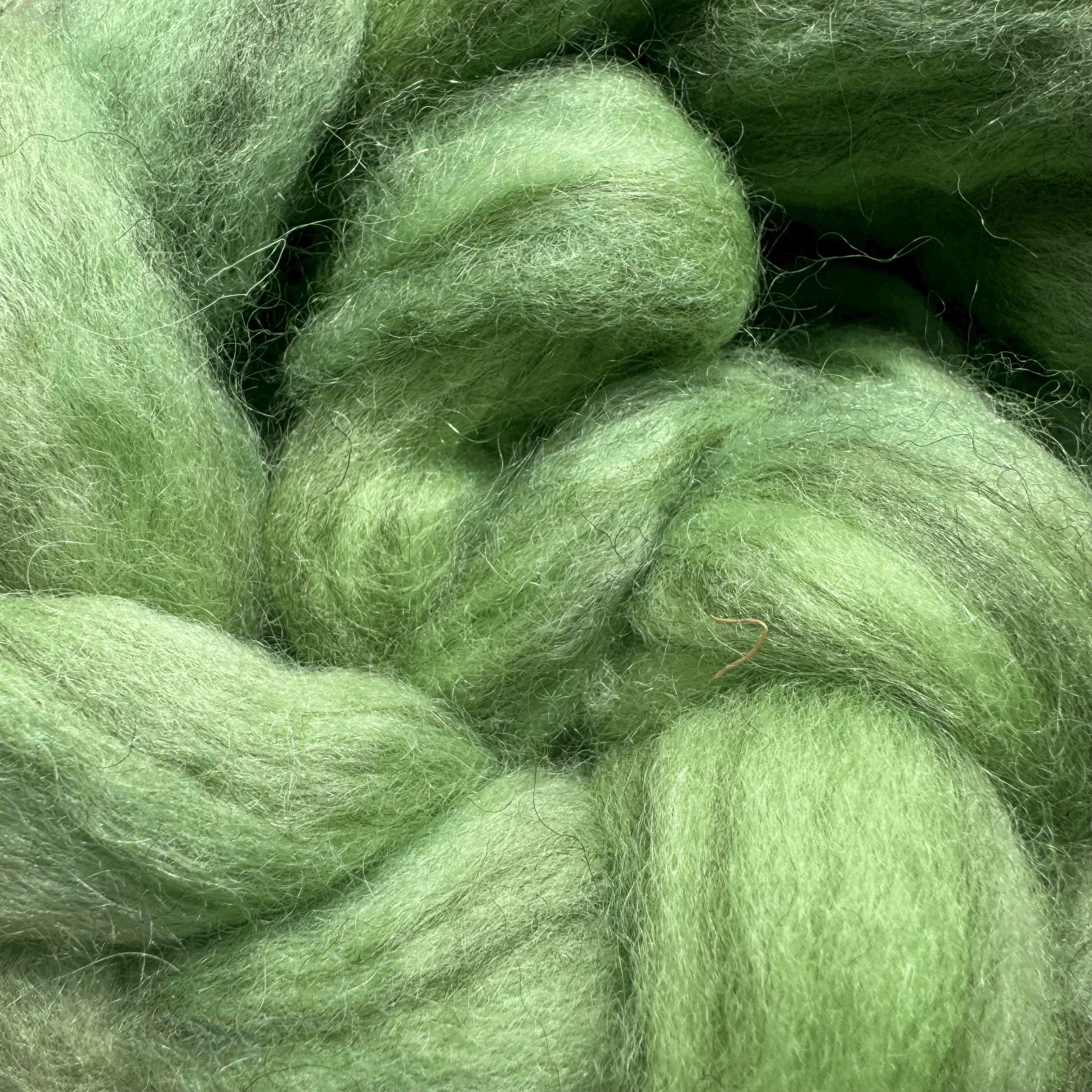 tempImageKyX1oI.gif