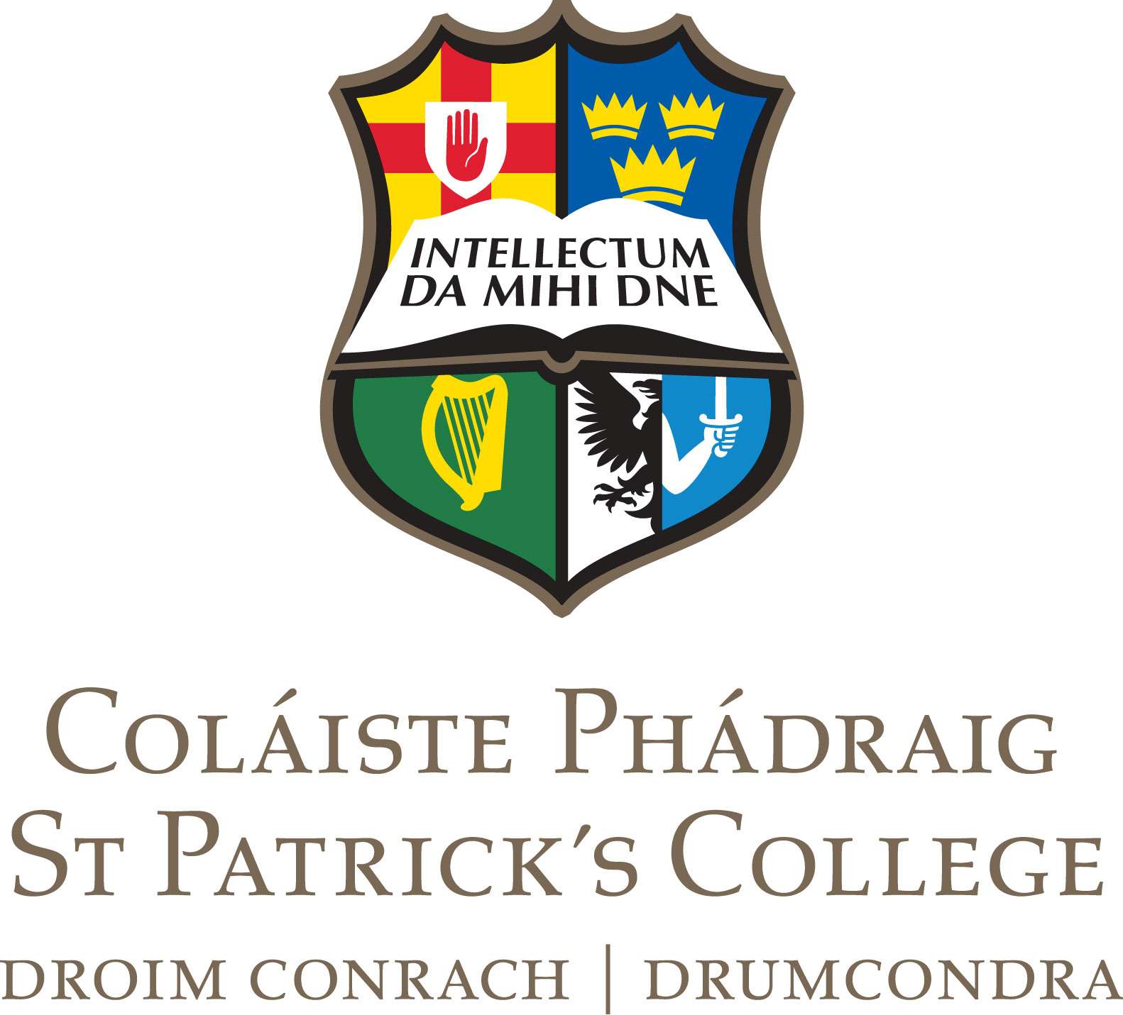 St Patricks College DCU Institute of Education