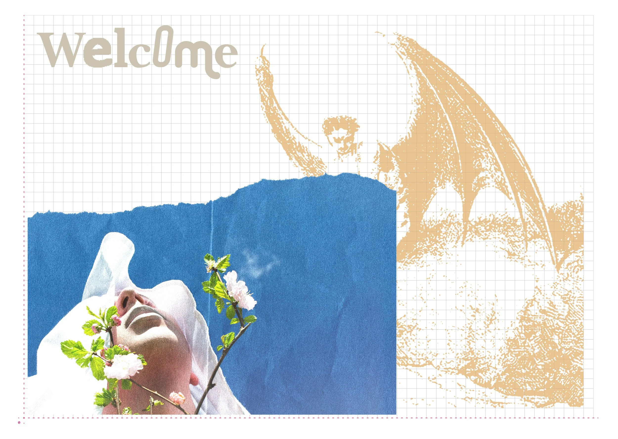 03-OLLIE-HAYWARD_WEBSITE-MONTAGE.jpg