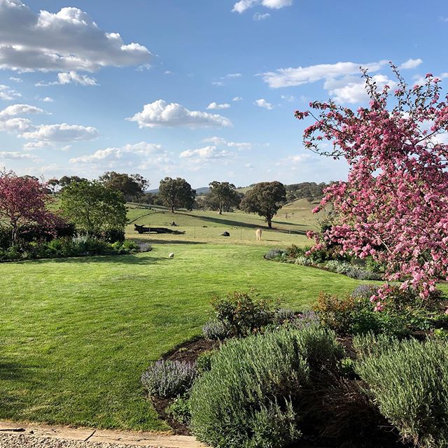 Thoroughly spoilt and completely blown away by the amazing talent, both in the studio and in the garden of @thegardencurator .. Colleen, thank you for such a fantastic afternoon visiting your home with @rossgardentours!! It was a delight to be meet y