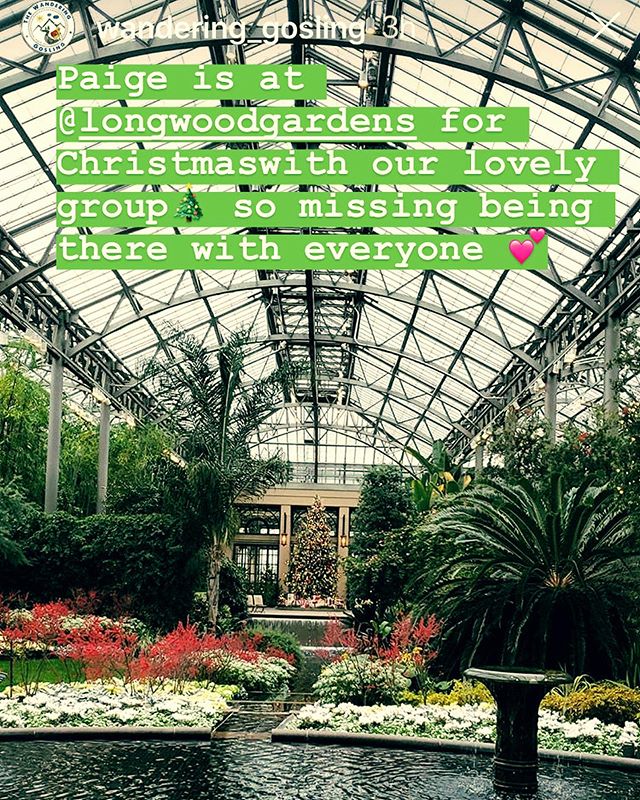 Paige &amp; Sean, Sharon &amp; Suzanne are visiting Longwood Gardens today for our annual Christmas trip! This was always one of my favorite trips of the year! Have a fantastic time everyone .. thinking of you ⭐️🎄⭐️🎄⭐️.
.
.
@longwoodgardens @wander