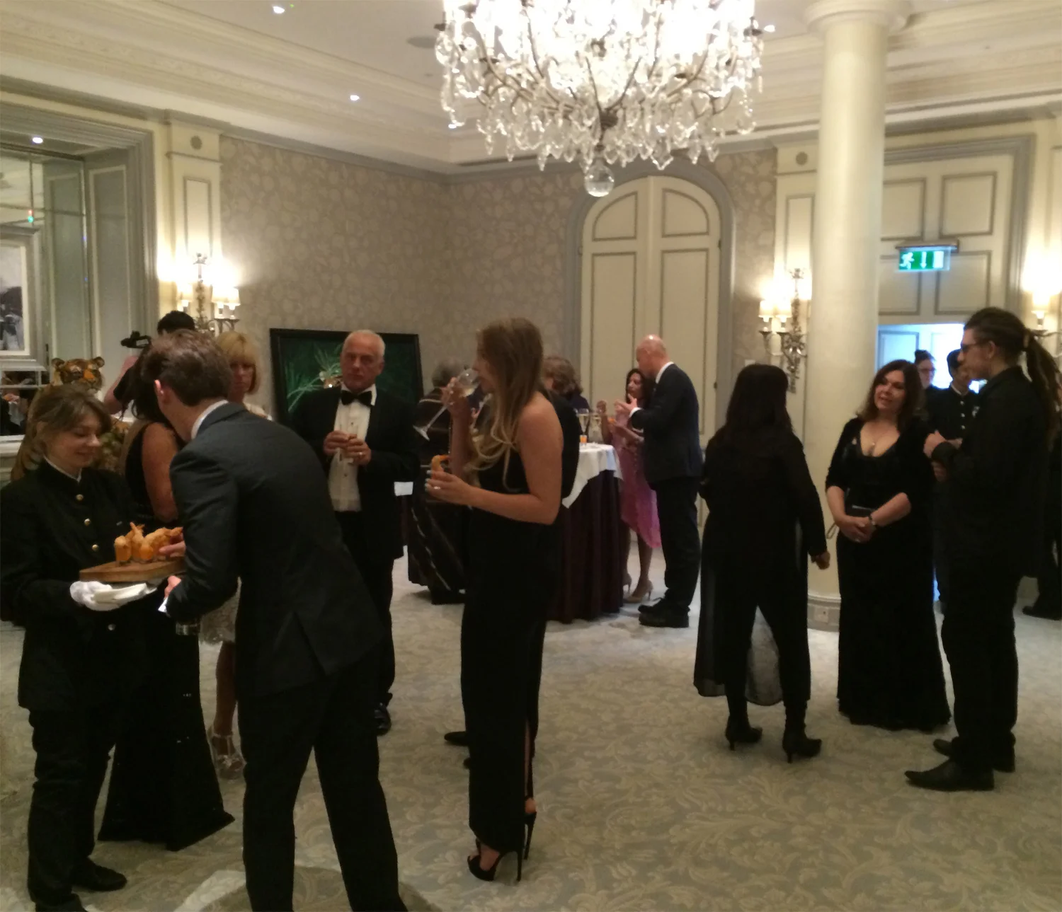 SAVE WILD TIGERS GALA BALL