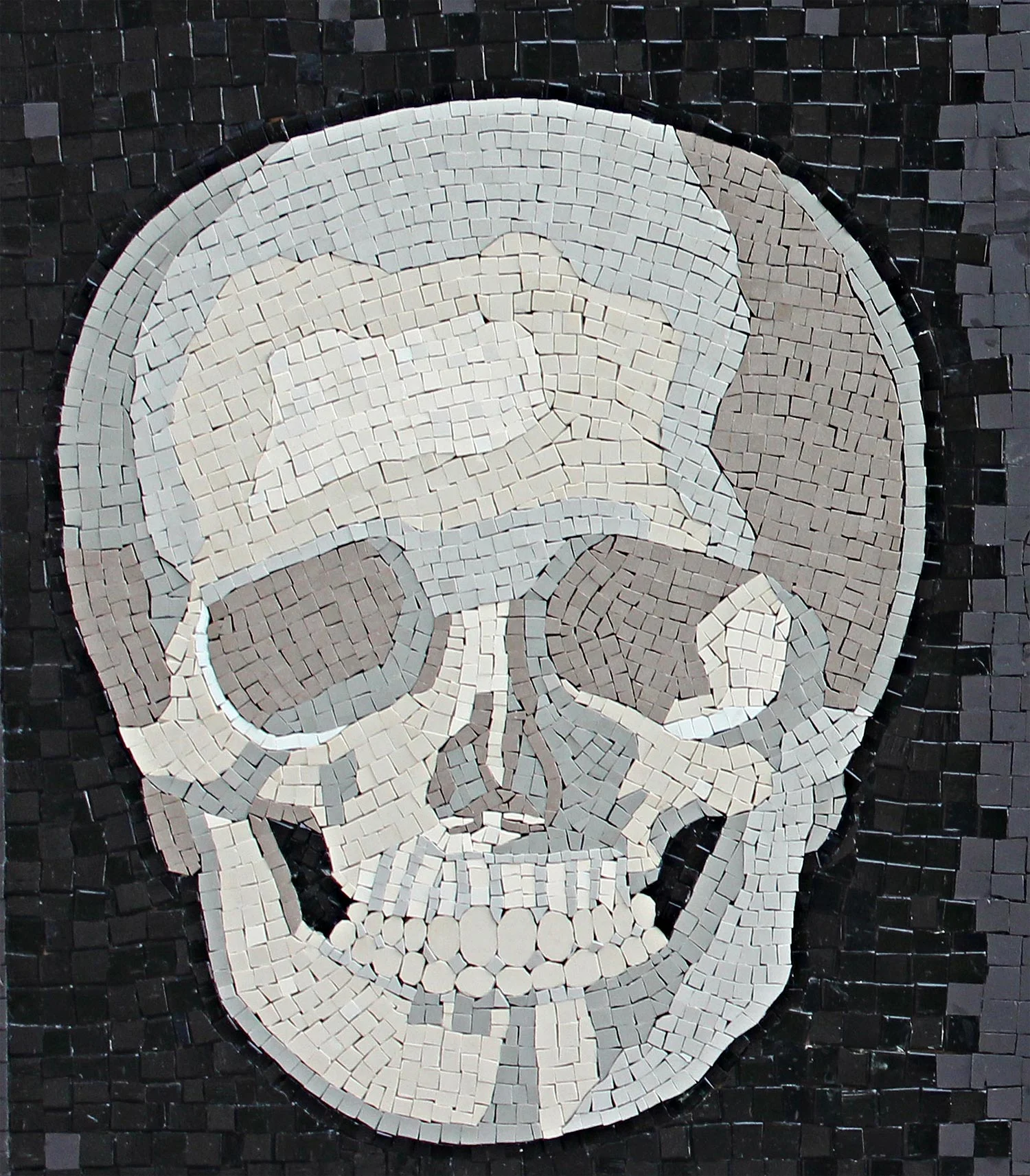 anatomy_skull.jpg