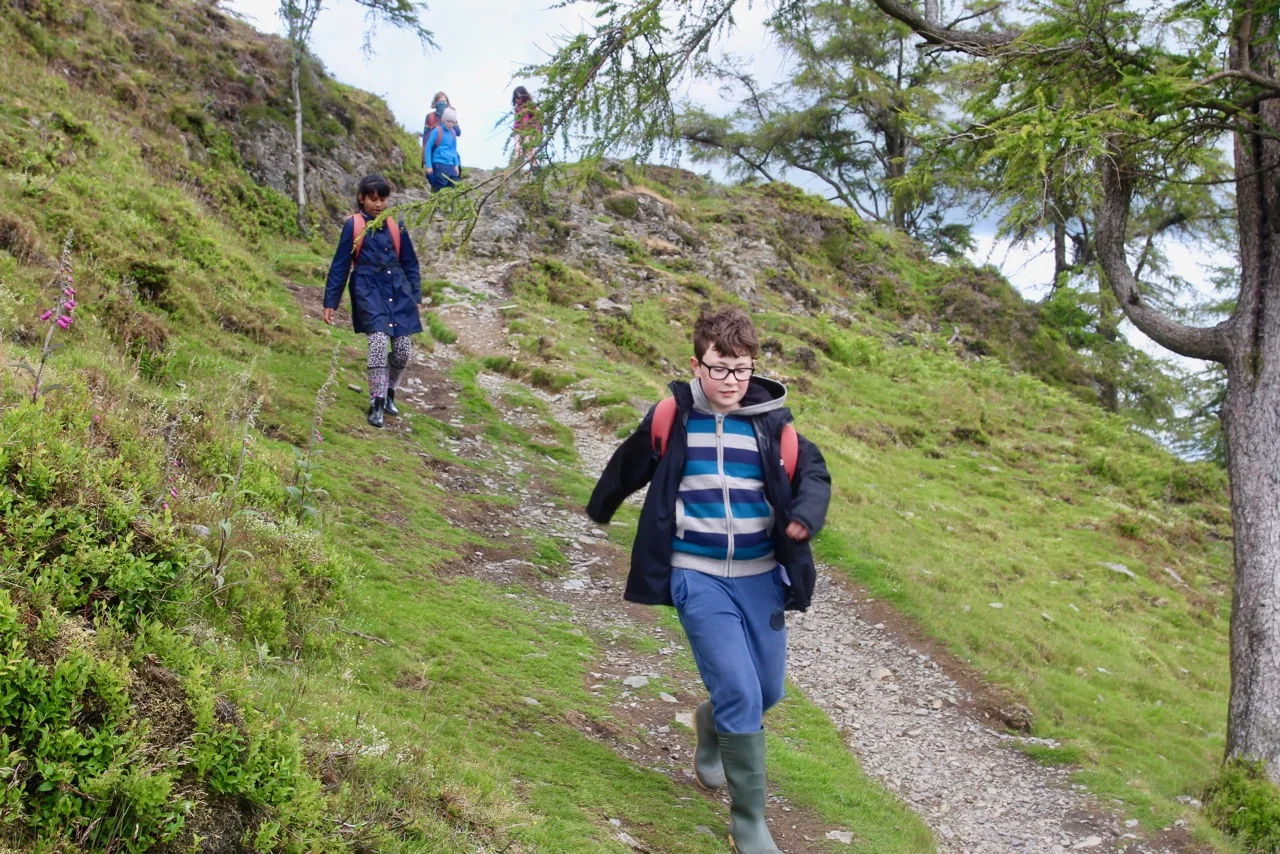 Ghyll Head 2019 - 208 of 213.jpg