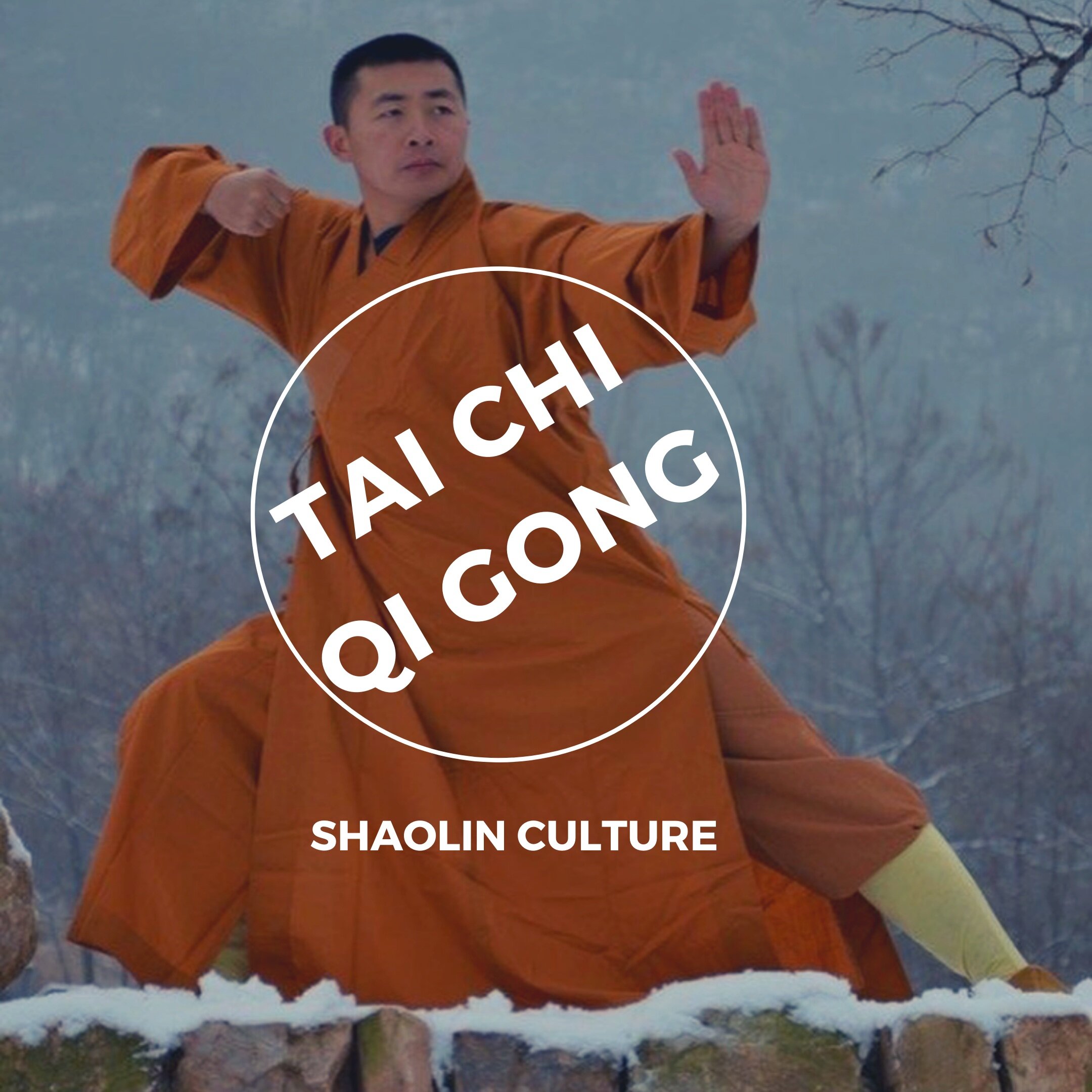 Shaolin kung fu returns - YP