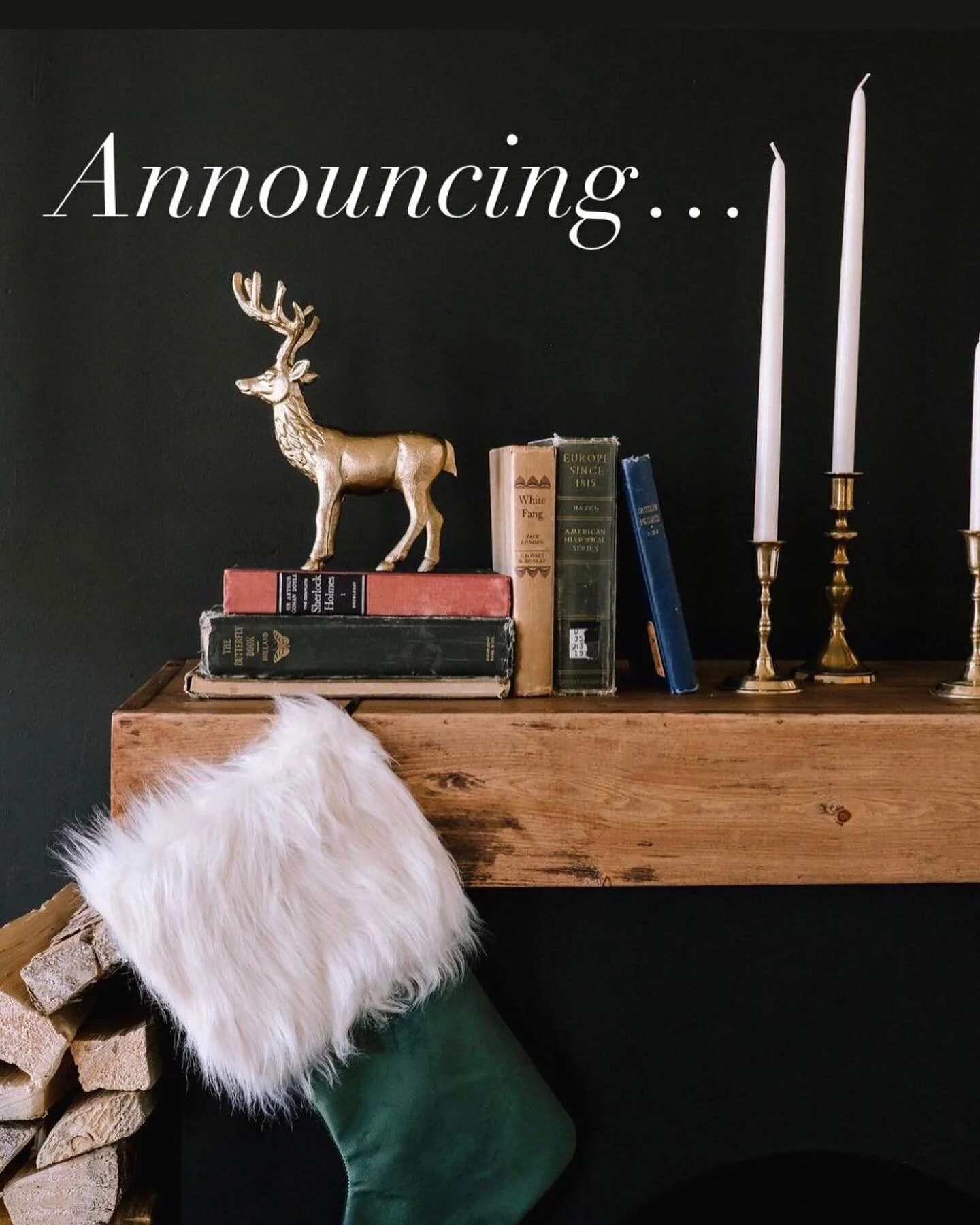 Happy Friday!! This morning I am very excited to announce Pet Holiday Mini Sessions! 🎉The date is Monday November 29. 
If you know a dog mom or rabbit dad that would love this share this post with them! 
If you have any questions or 
to book a sessi