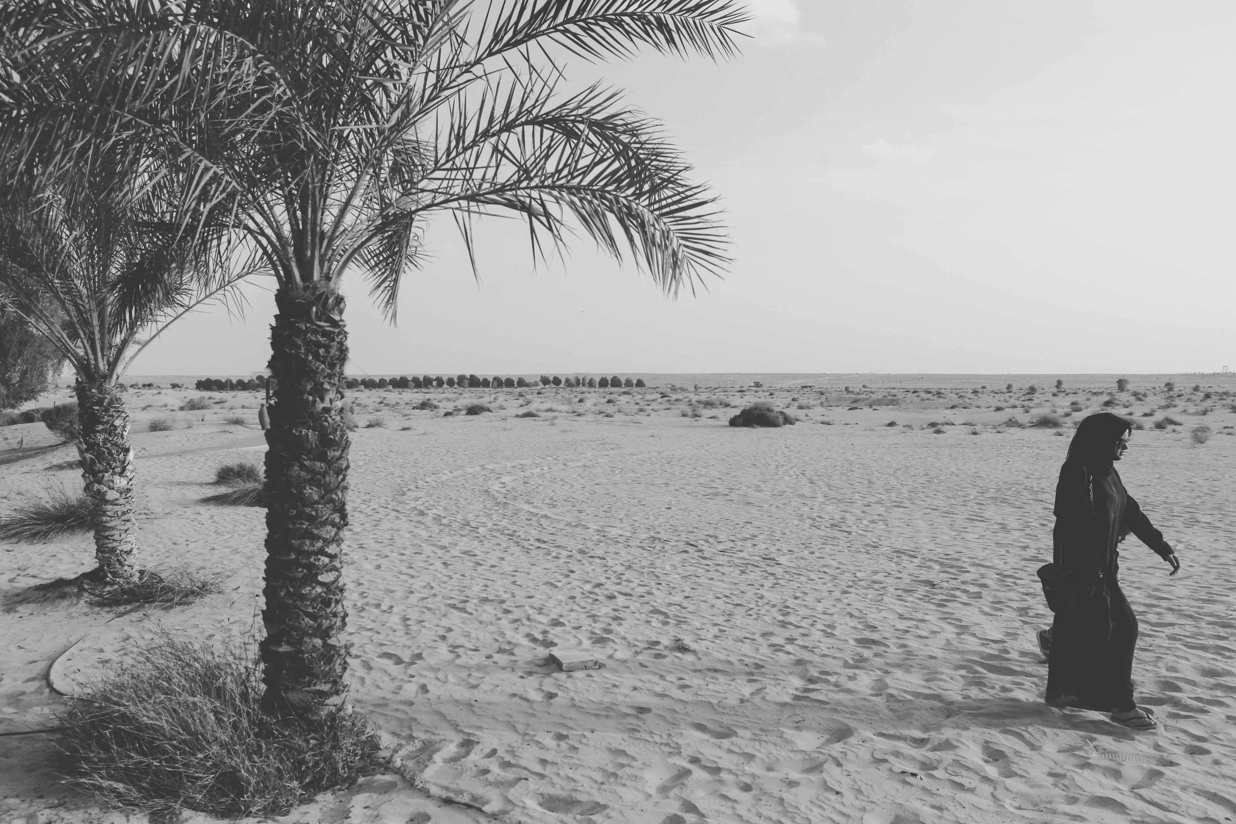untitled-0369.jpg