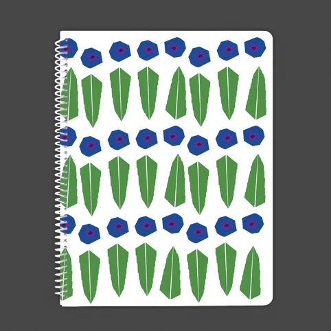 Modern Huckleberries Journal