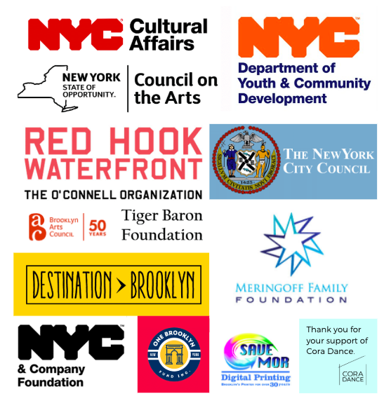 Funder logo image.png