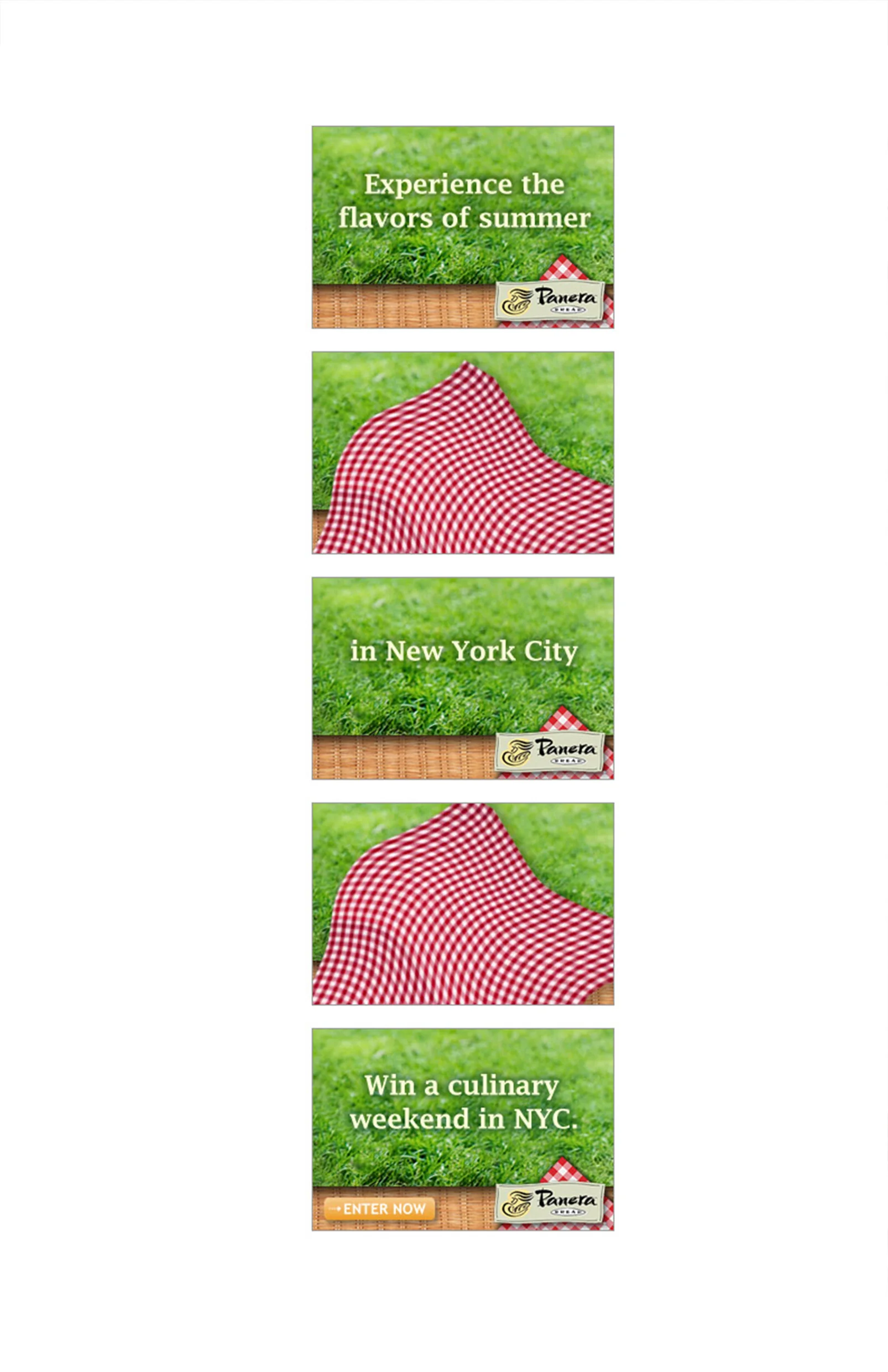 contentSeries_ola.jpg