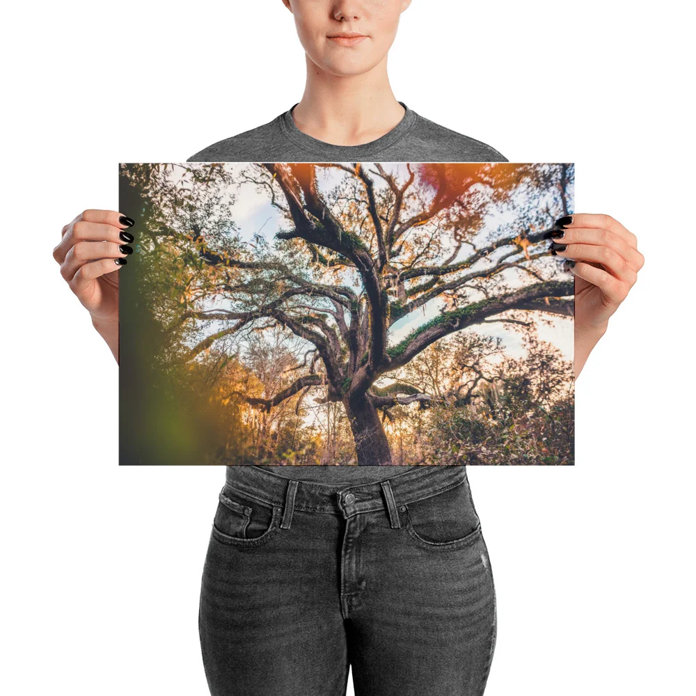 Thedayafter-133-HDR_mockup_Person_Person_12x18.jpg