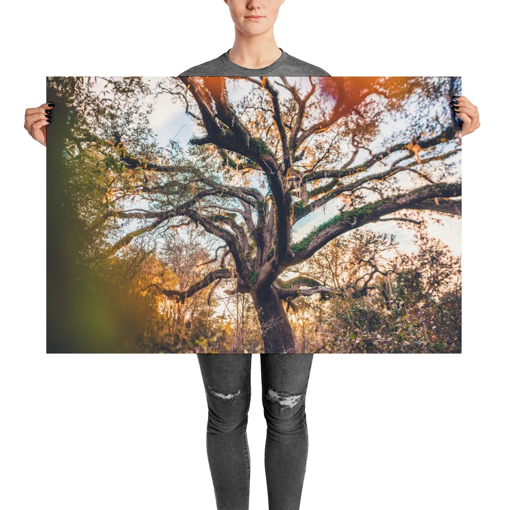 Thedayafter-133-HDR_mockup_Person_Person_24x36.jpg
