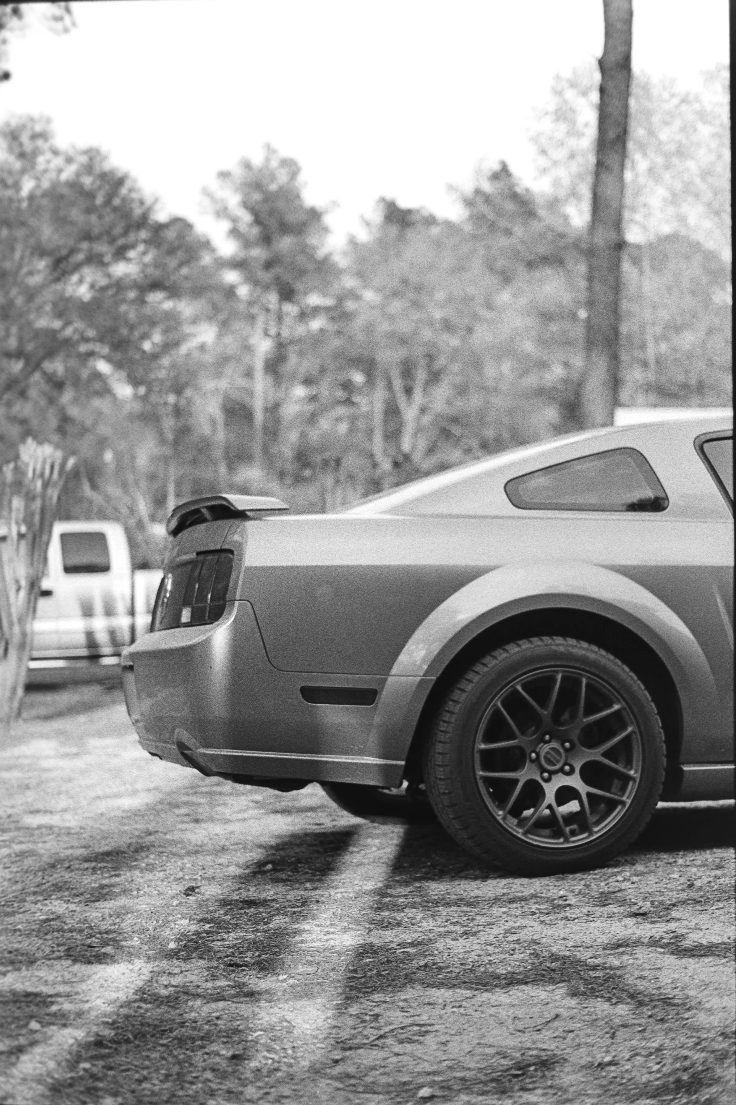 Thefirstroll_HP5-21.jpg