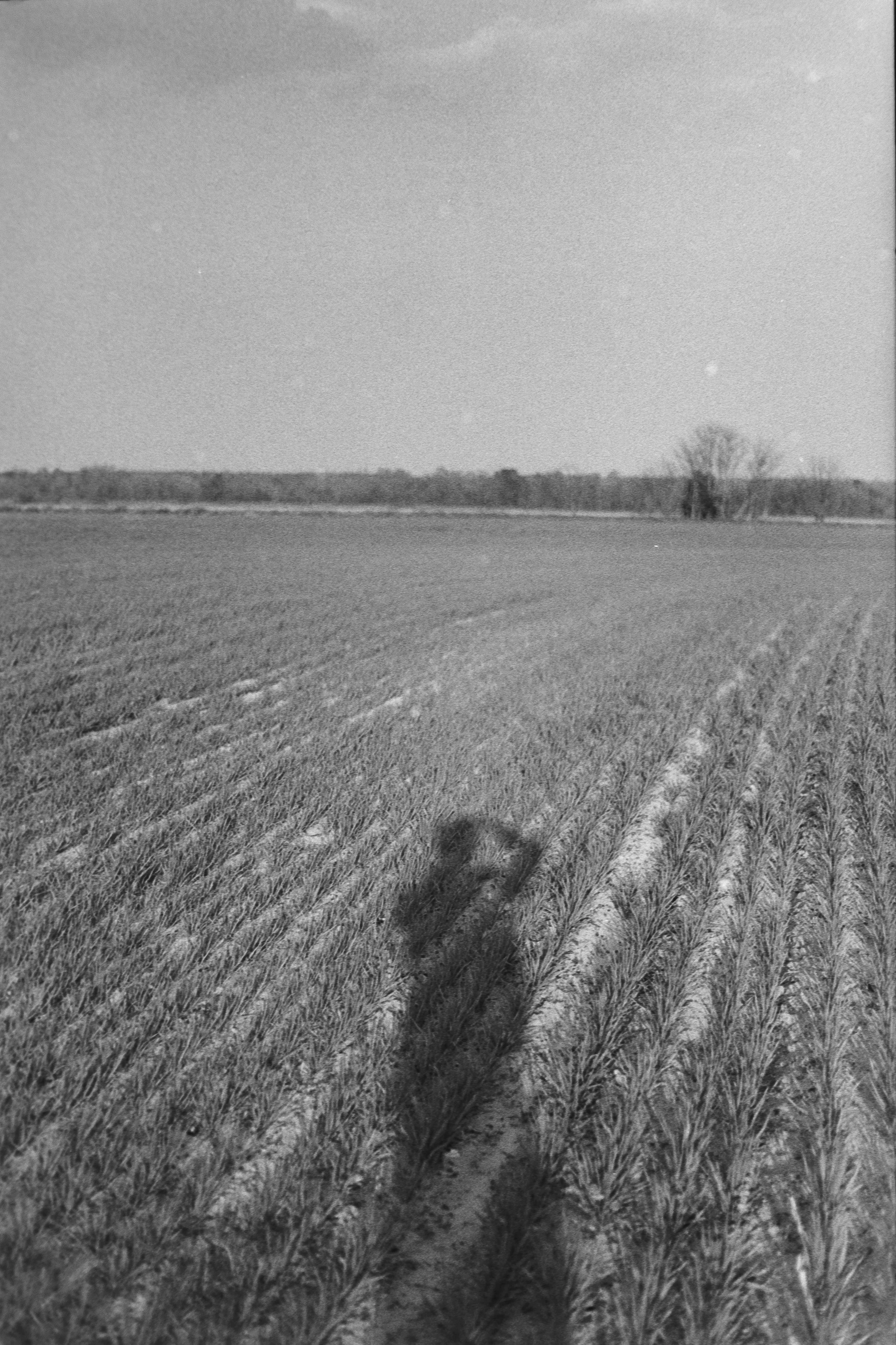 Thefirstroll_HP5-40.jpg