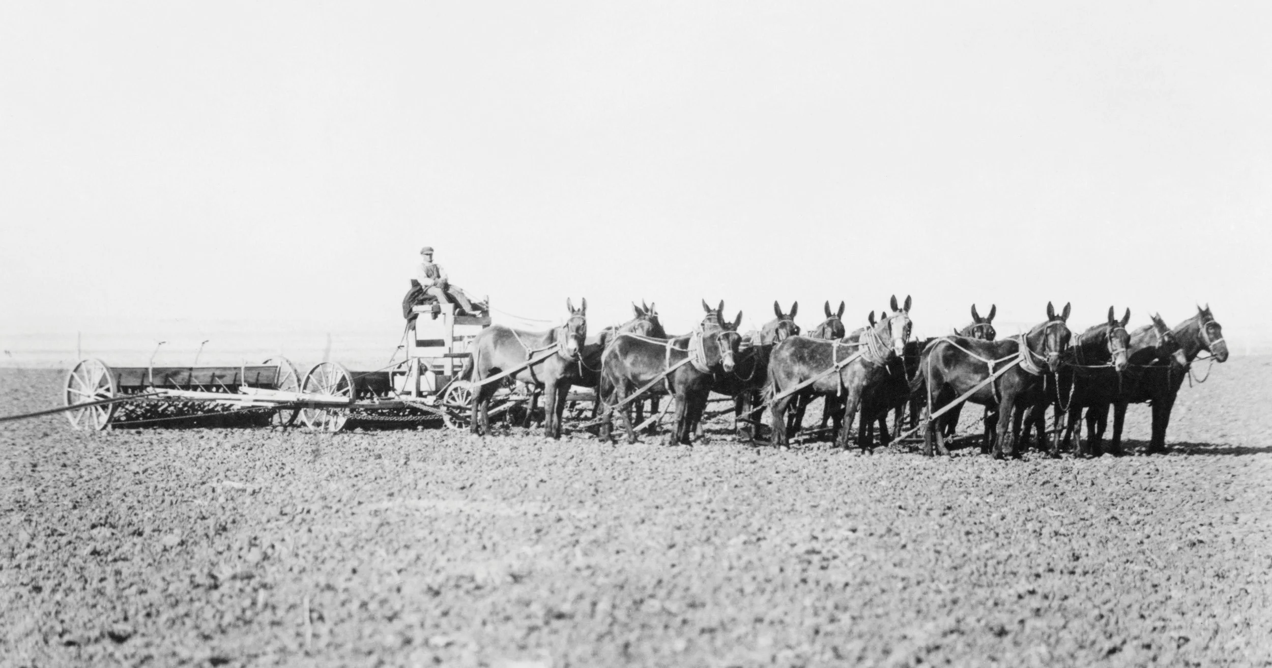  Photo courtesy Libraries and Cultural Resources Digital Collections, University of Calgary 