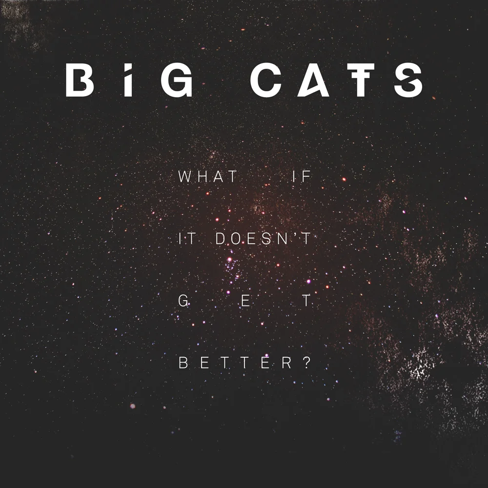What If It Doesn't Get Better? Digital Download