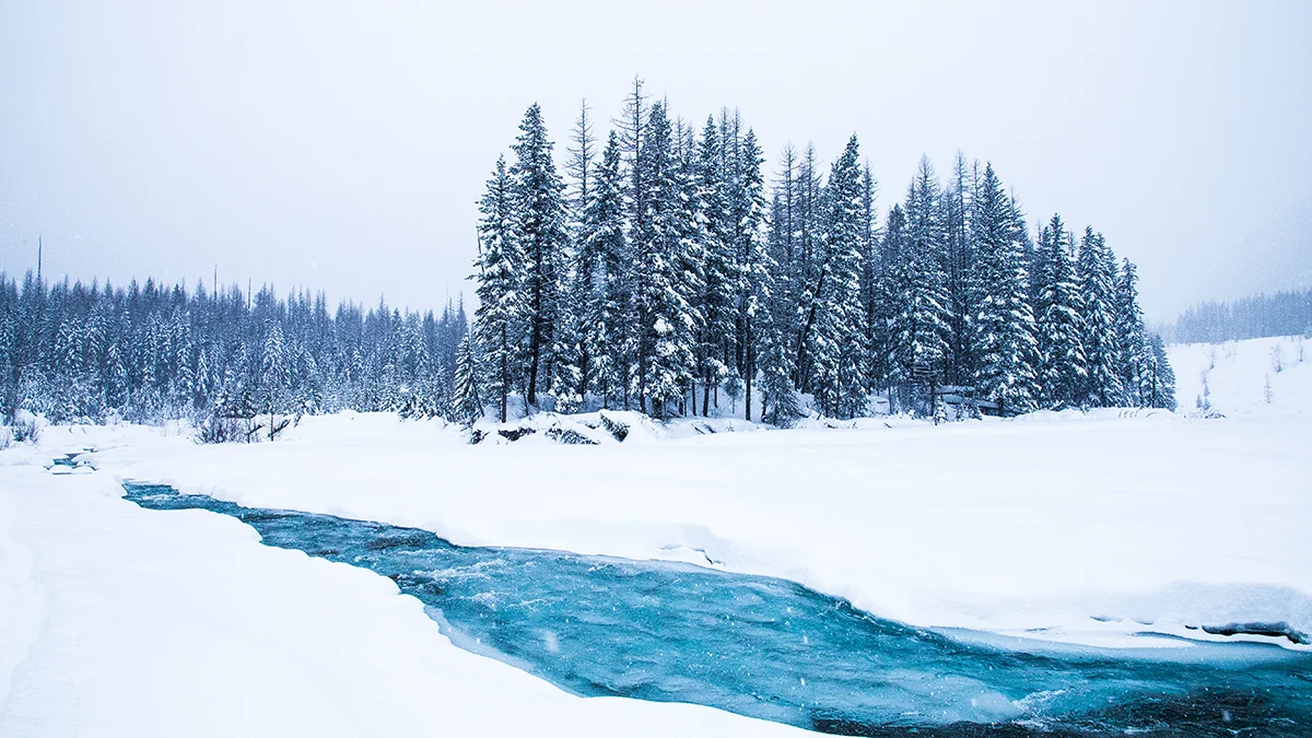 River Blue Full.jpg
