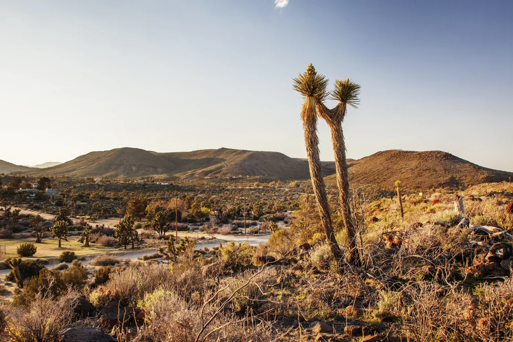 Desert Real Estate Photography