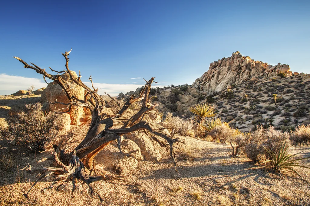 Desert Real Estate Photography