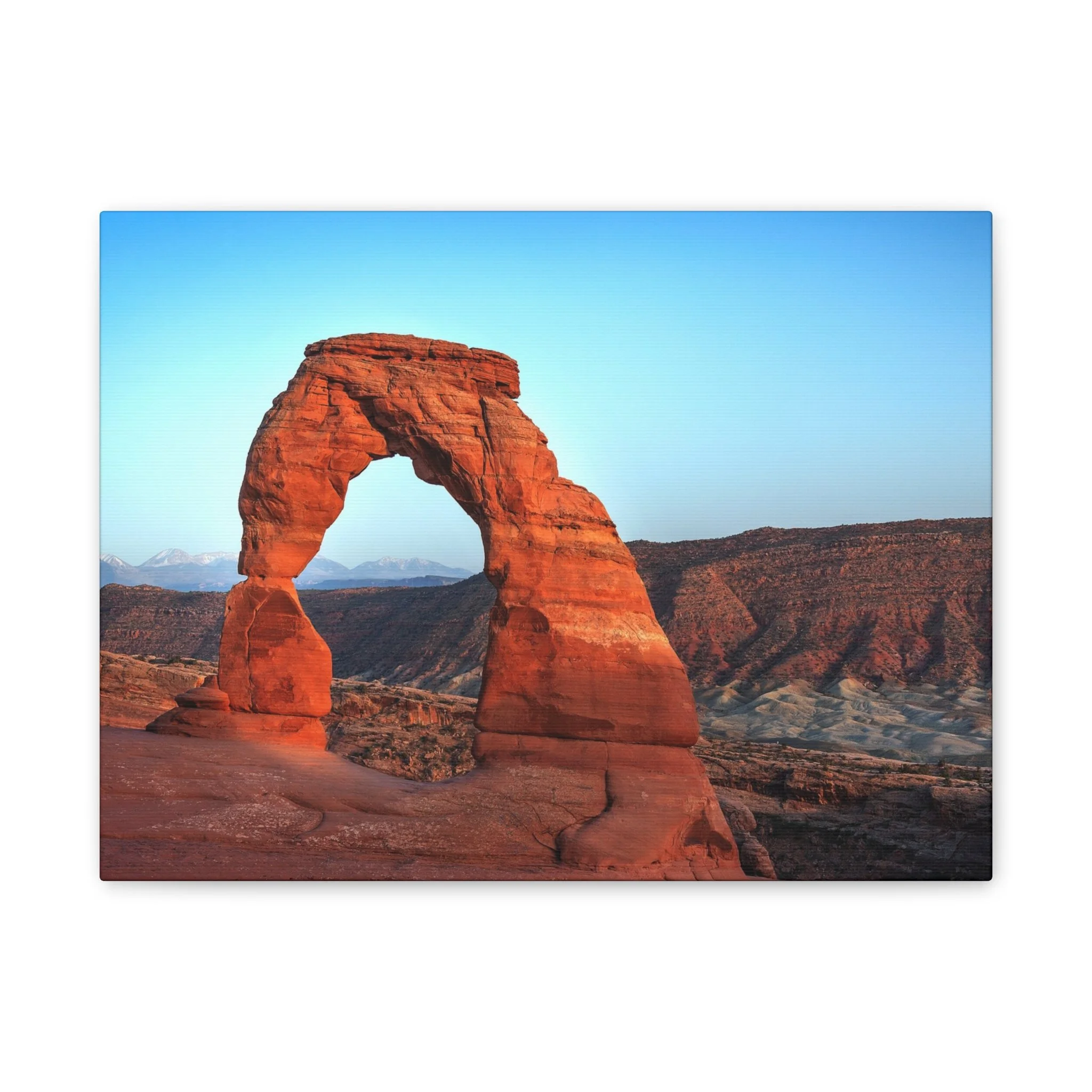 b9015f8fd51c3d59cad9676c0a9b06e2