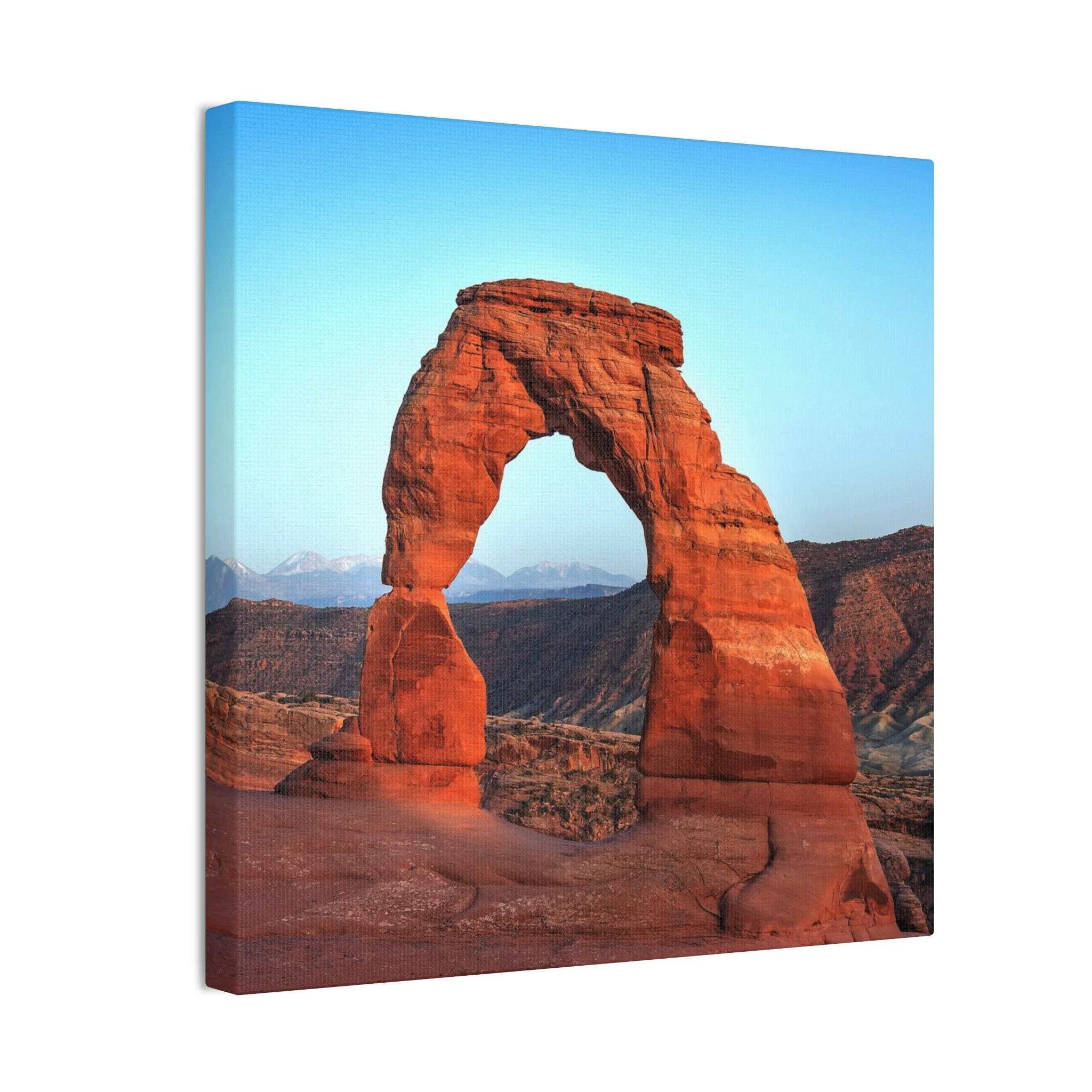 92f8a83a4a4a175d047ceac3d21c99da