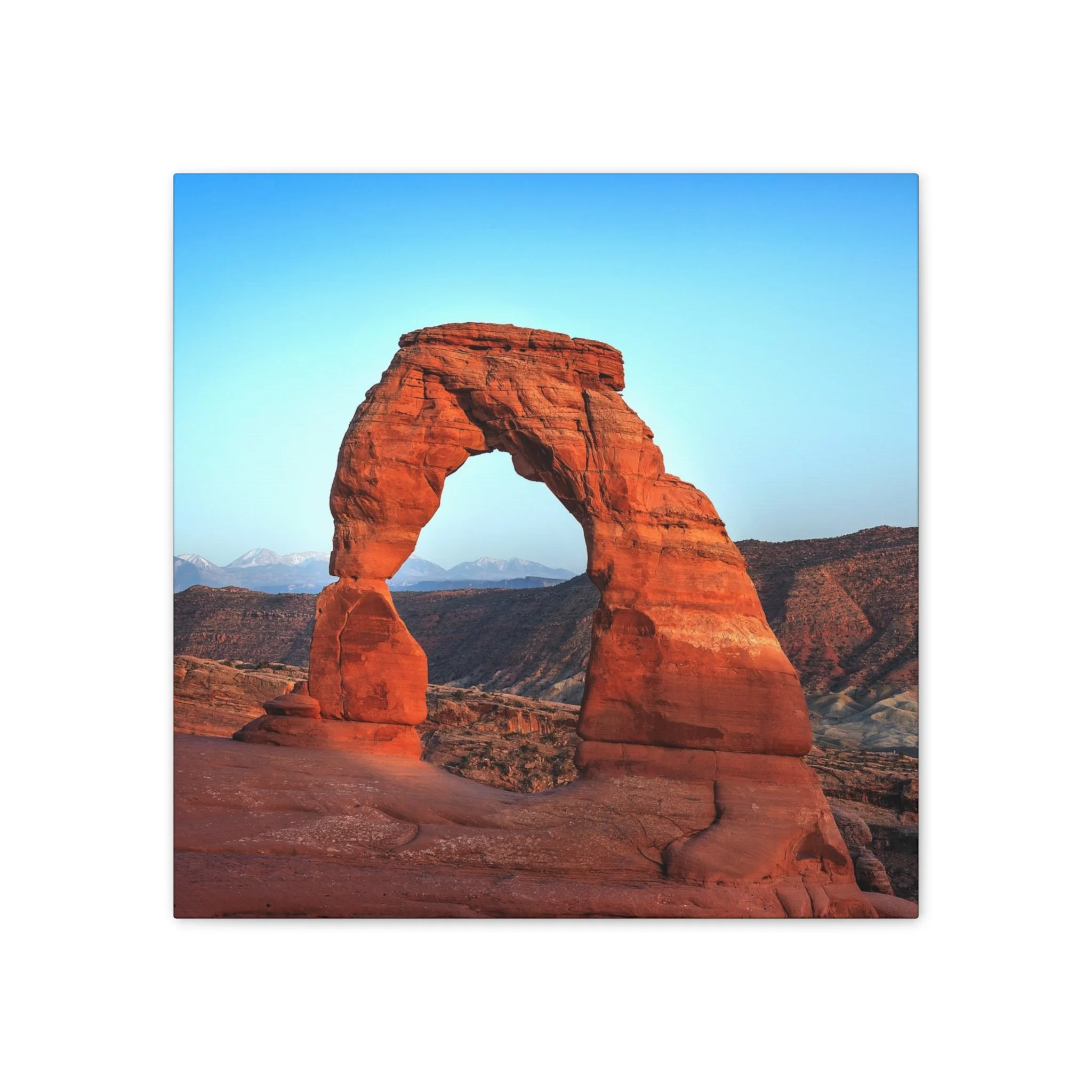 e26661b8d872436cd5093c926658cca1