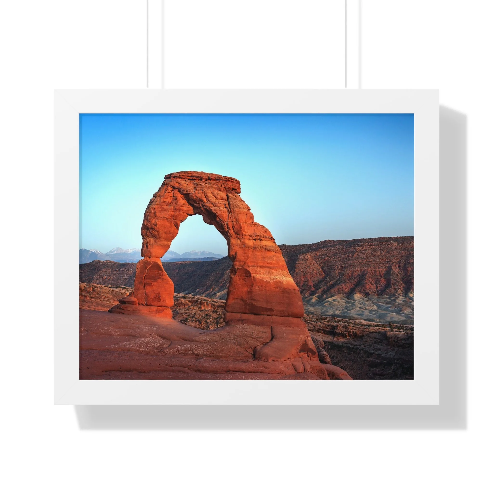 2a5f98fc17cee46ff0e5fd25d4006dd8