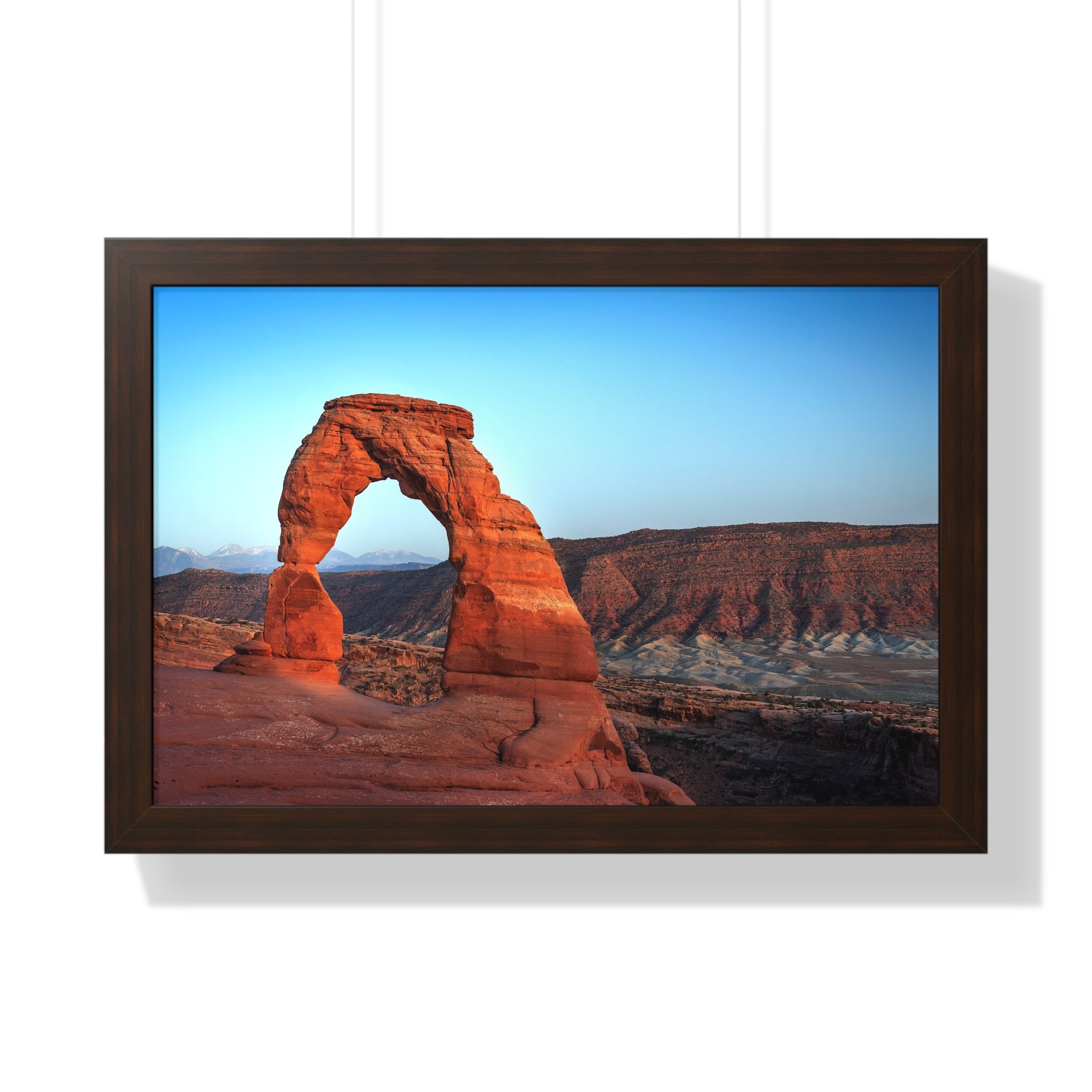 6b25389292304552a7714e451460dcec