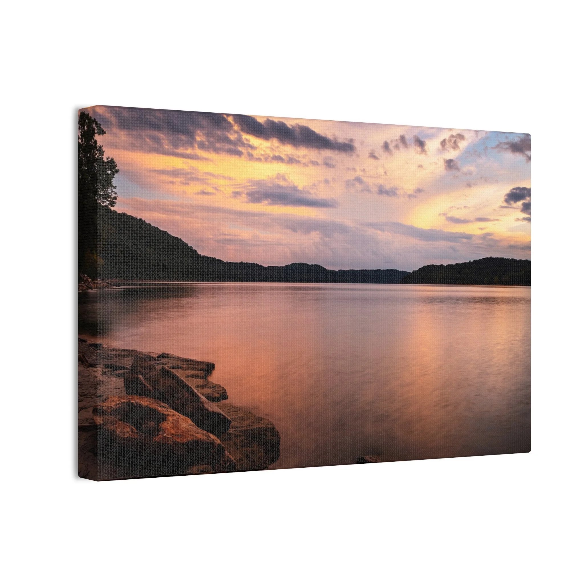 8a97875ffe541e020c7cddb4de5fb0f7