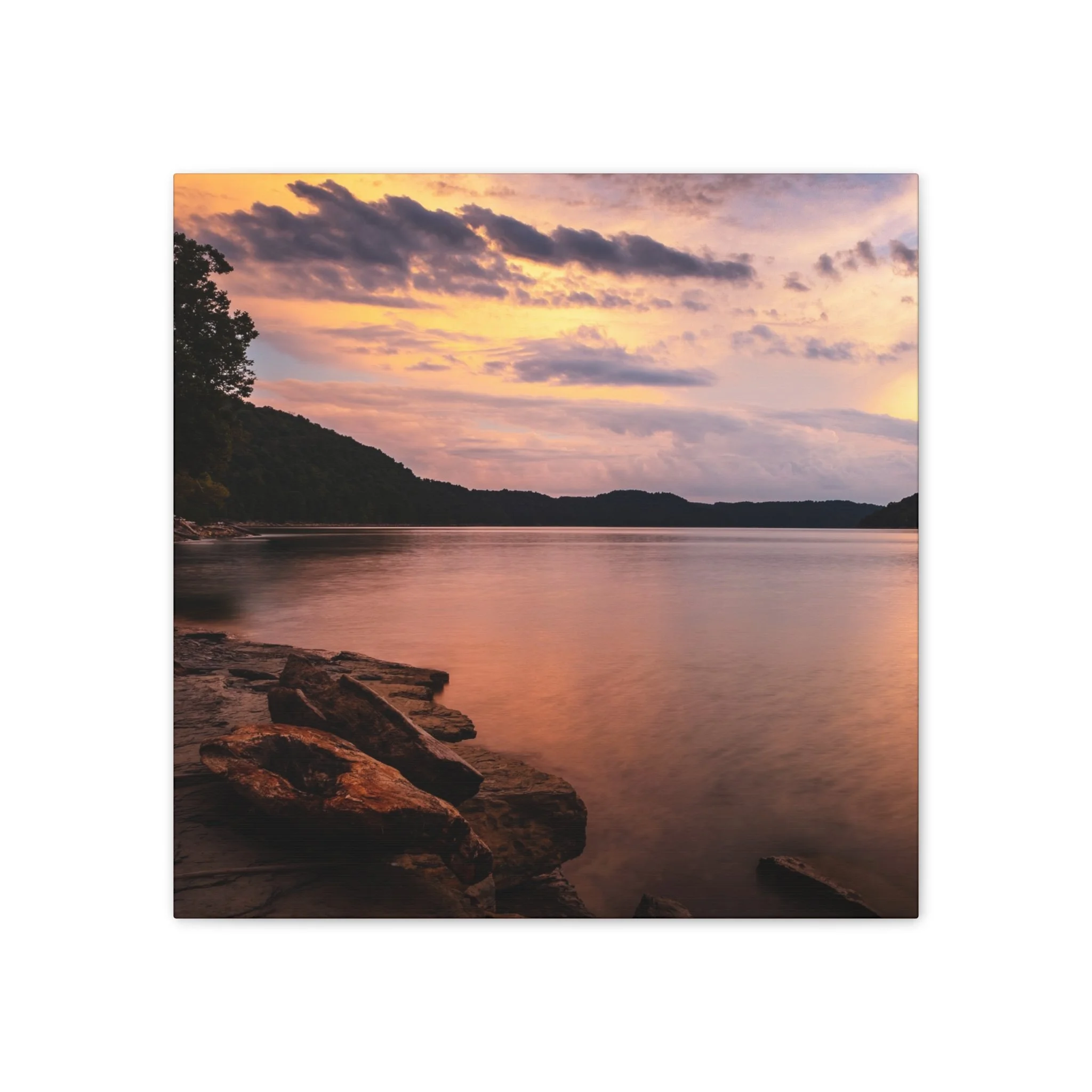 18328eadd5df8ef7eff1d9afb7bda7d5