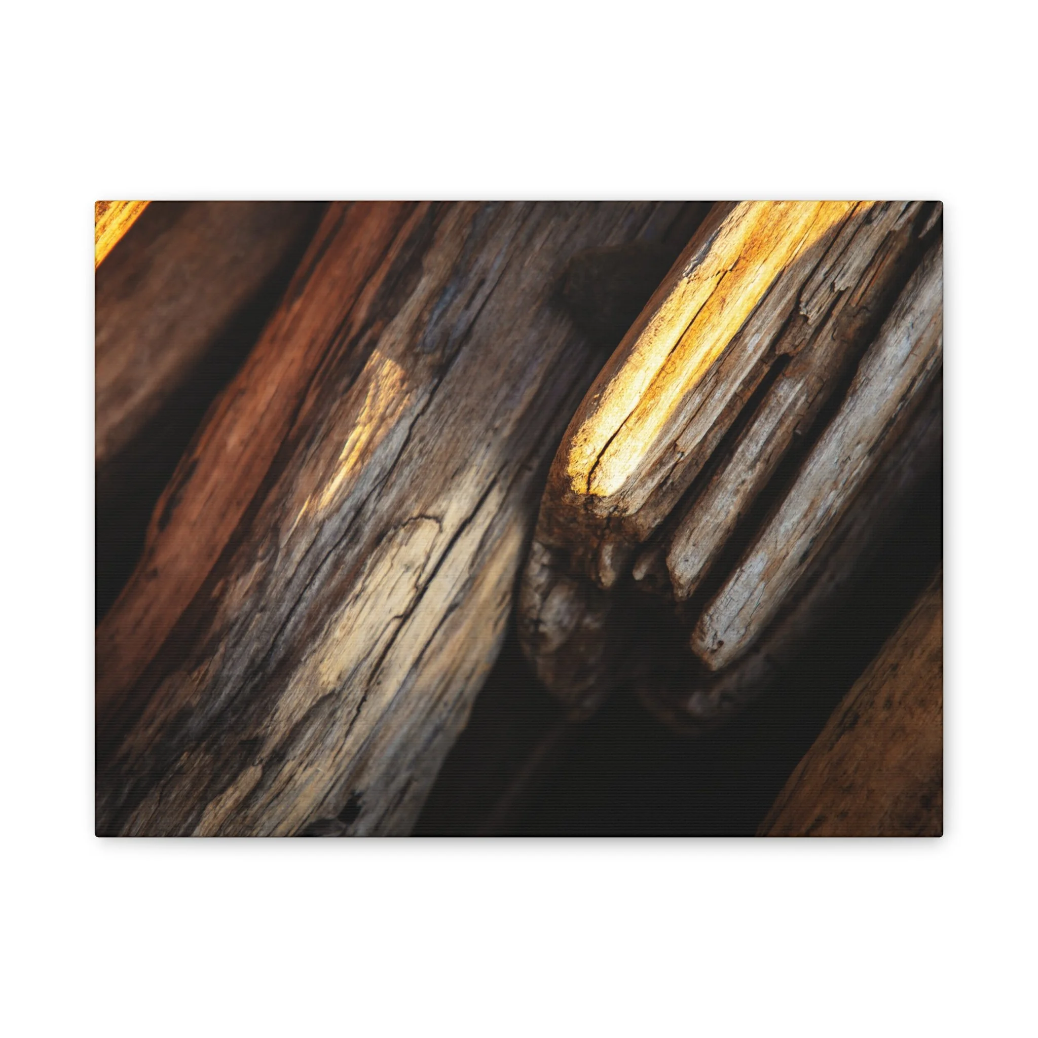 4c977c75c9a40ba737451b88b5fd0346