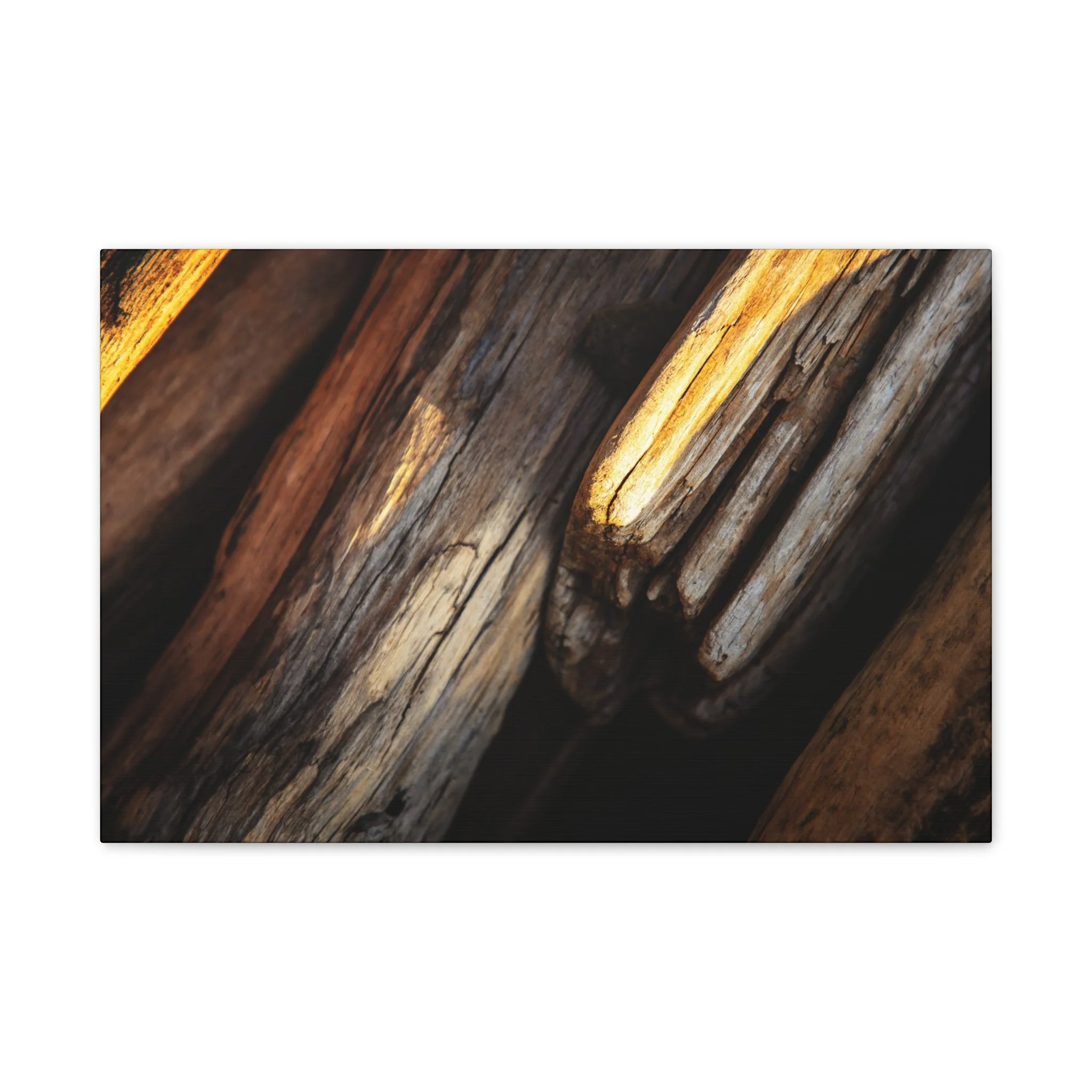 d1021fe8b756670f1b11afb2326066d2