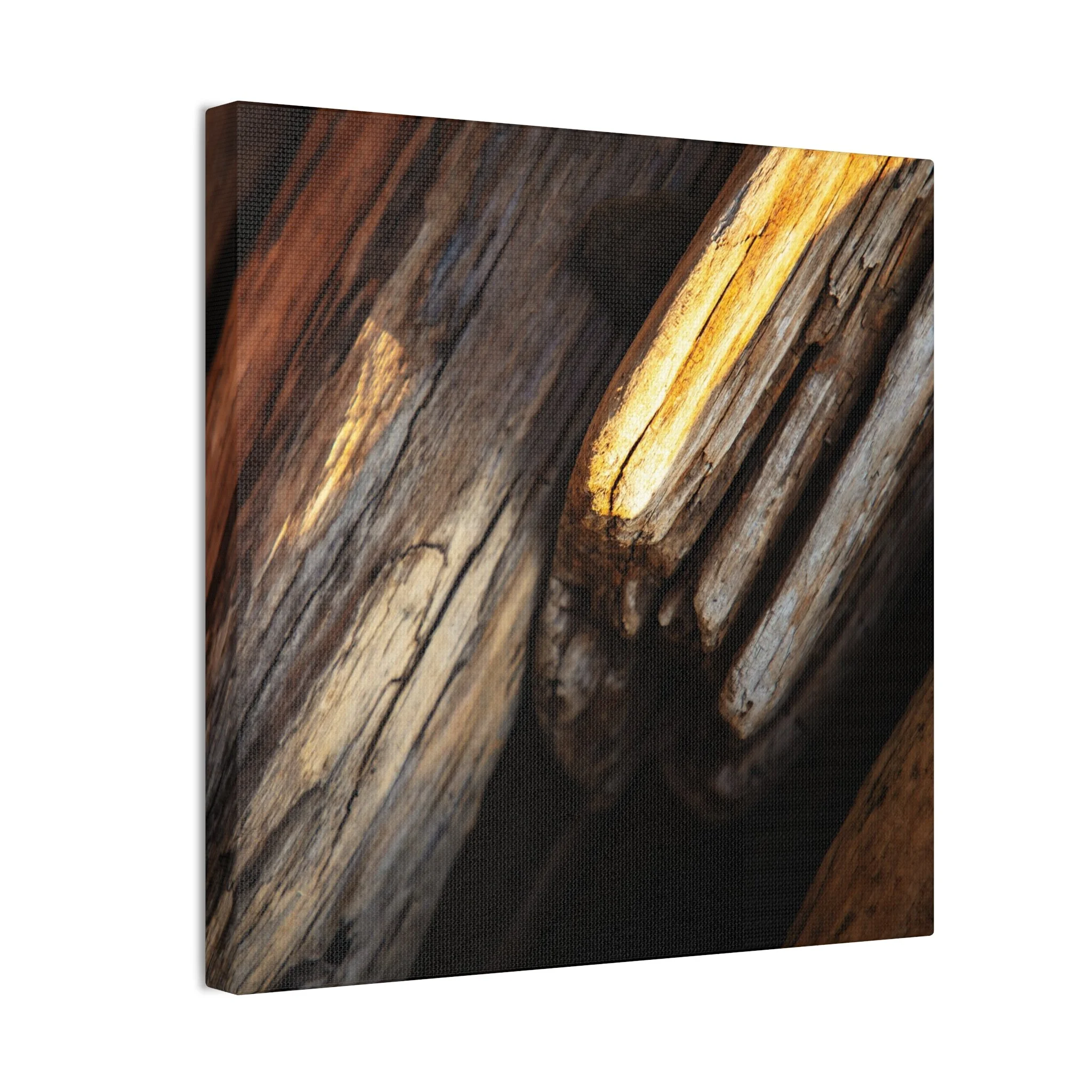 830ec38882fd8bda7c4154d505e78529