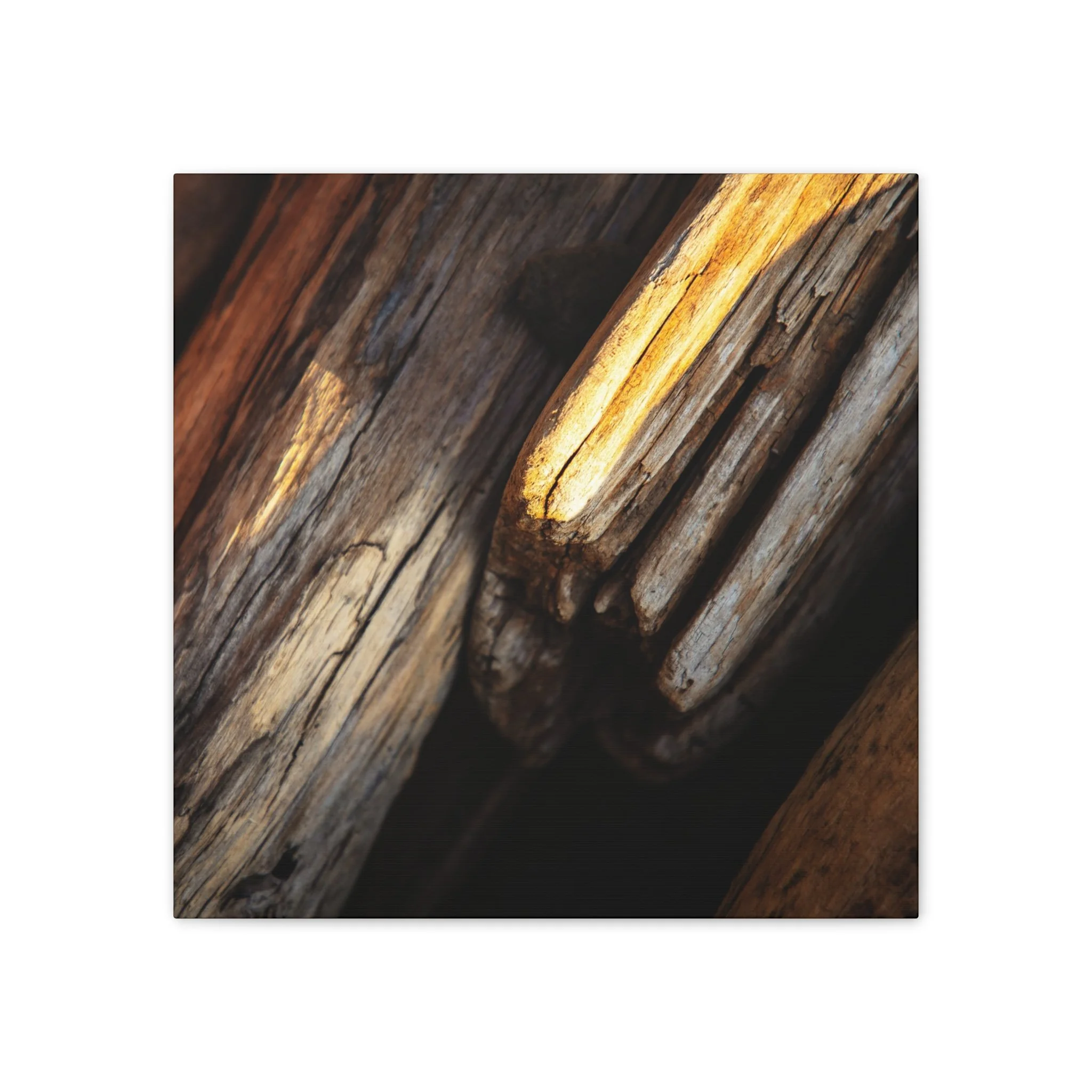 fc76e834710e649f766286c7af34d3a4